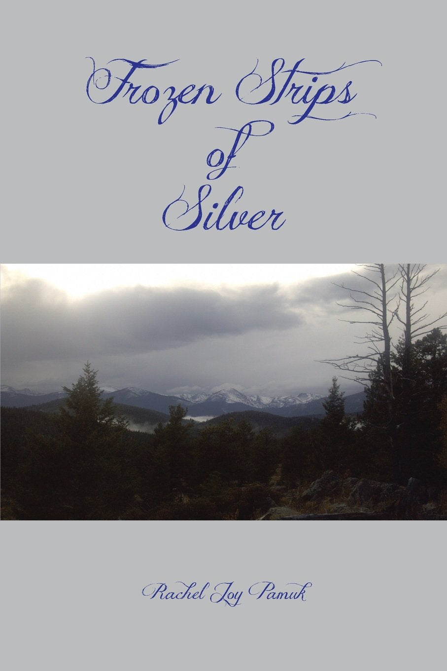 Frozen Strips of Silver Poetry