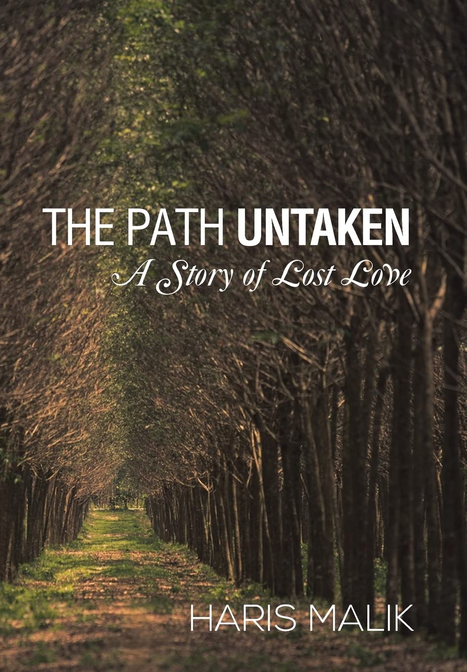 The Path Untaken: A Story of Lost Love Contemporary literature