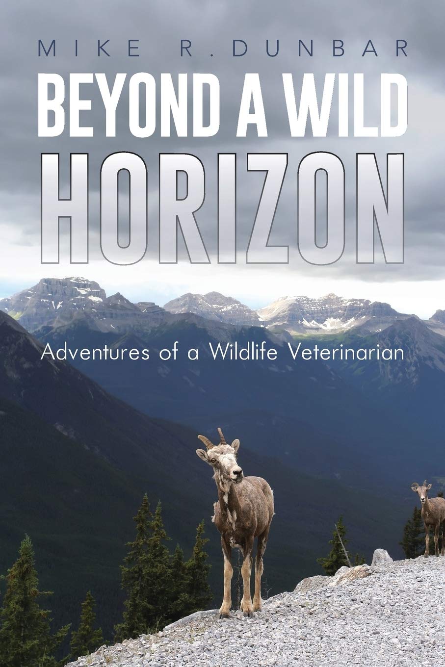 Beyond A Wild Horizon: Adventures of a Wildlife Veterinarian book
