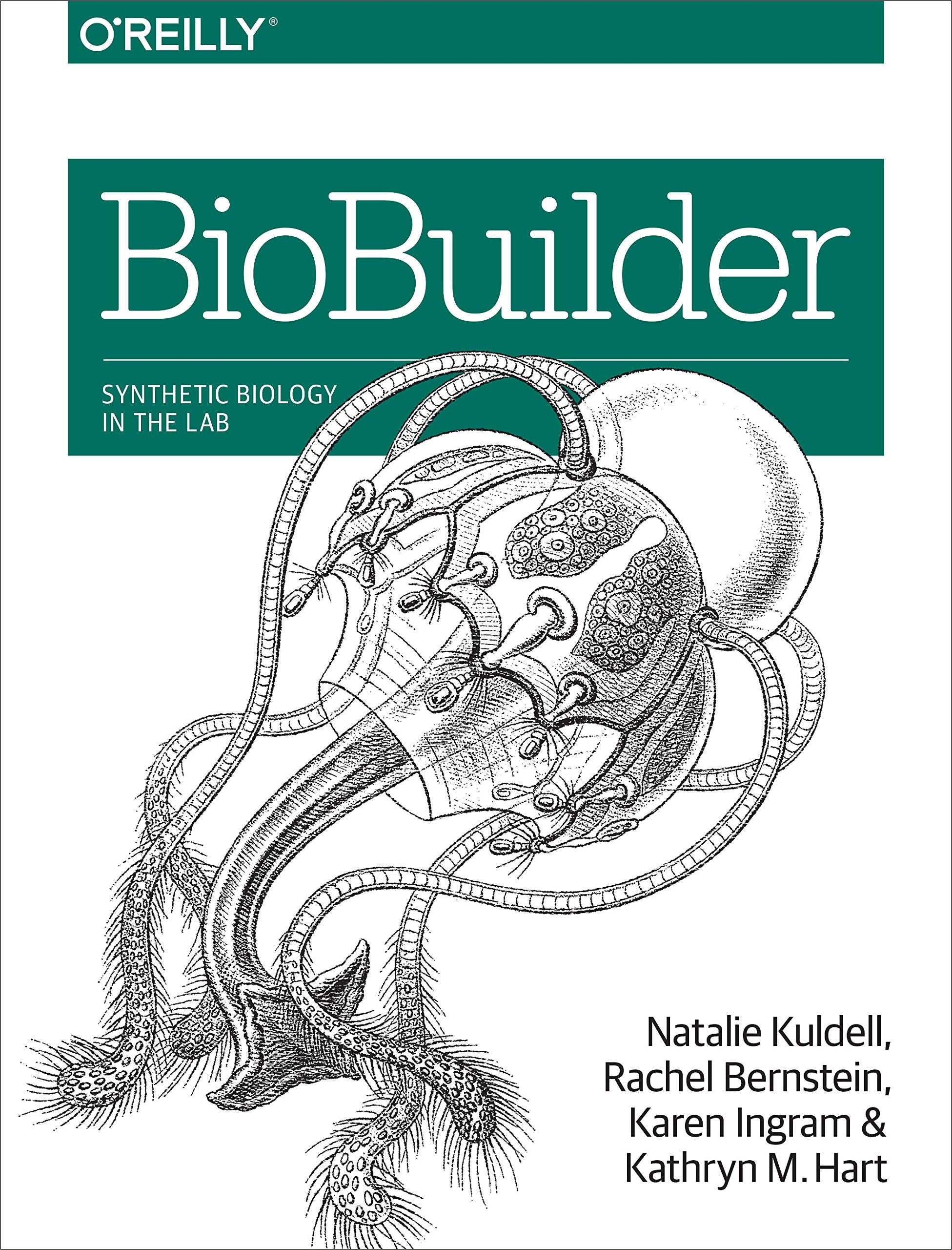 BioBuilder: Synthetic Biology in the Lab Computer Science