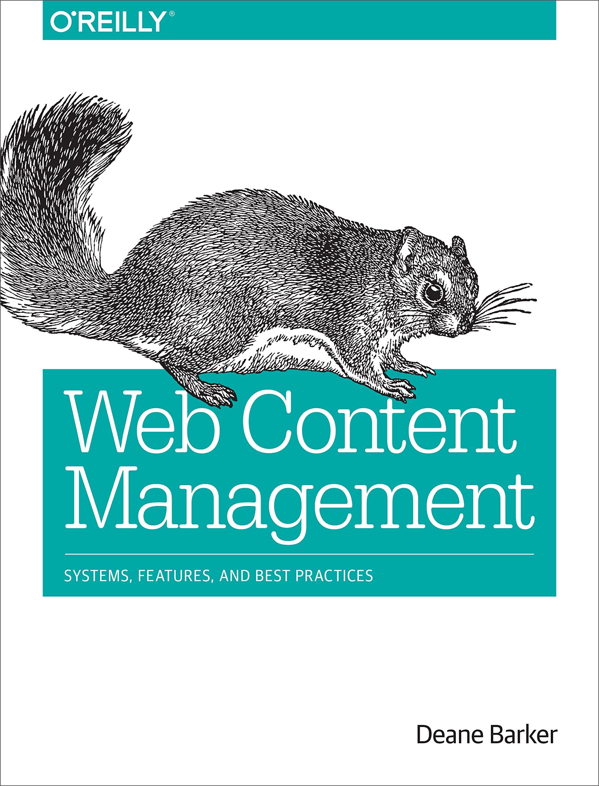 Web Content Management: Patterns and Best Practices: Systems, Features, and Best Practices Business, Finance & Career
