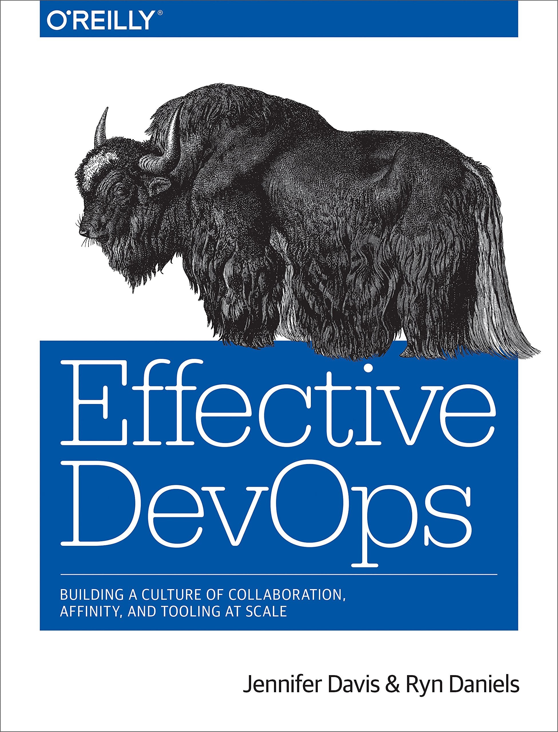 Effective Devops Business, Finance & Career