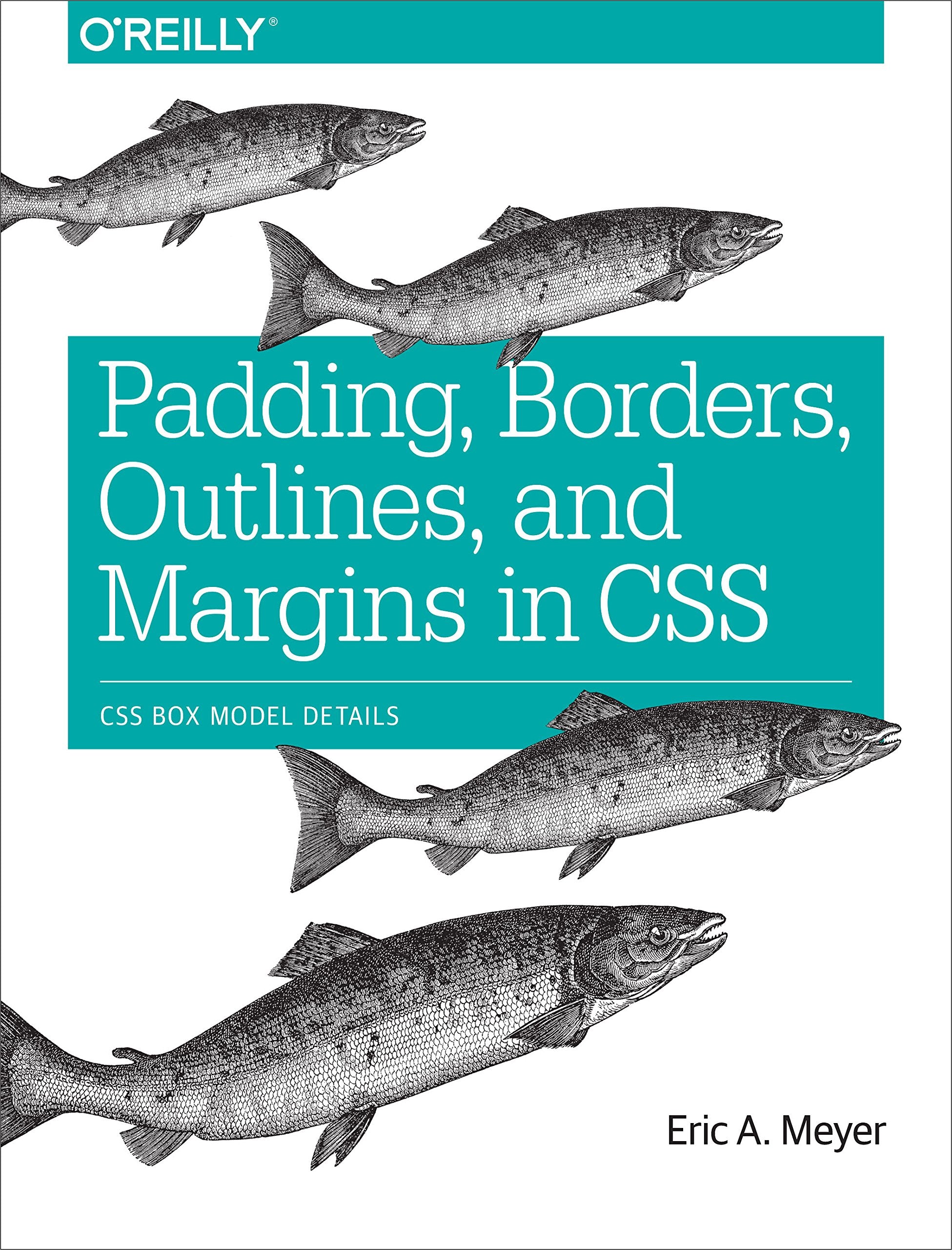 Padding, Borders, Outlines, and Margins in CSS Computer Science
