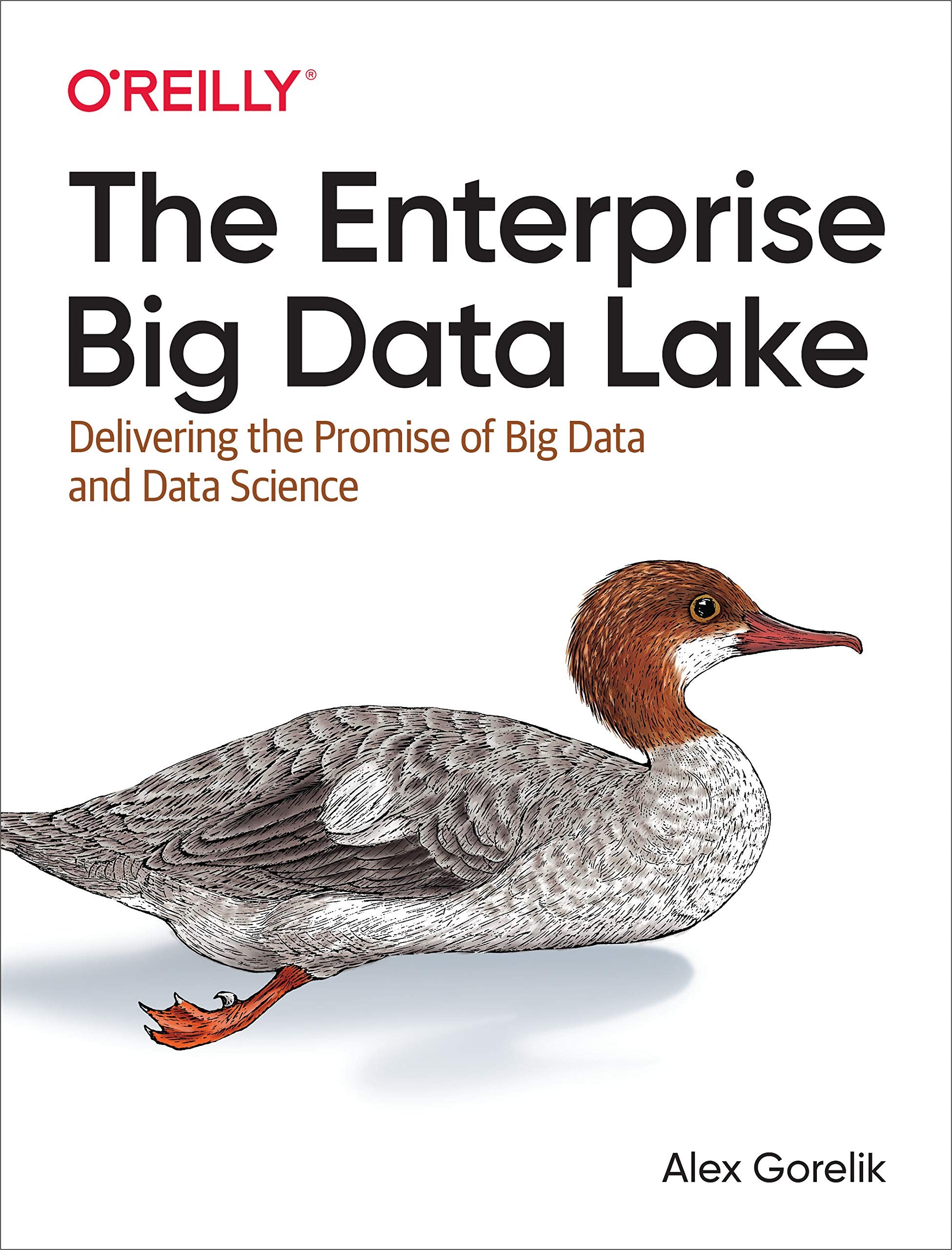 The Enterprise Big Data Lake: Delivering the Promise of Big Data and Data Science Computer Science
