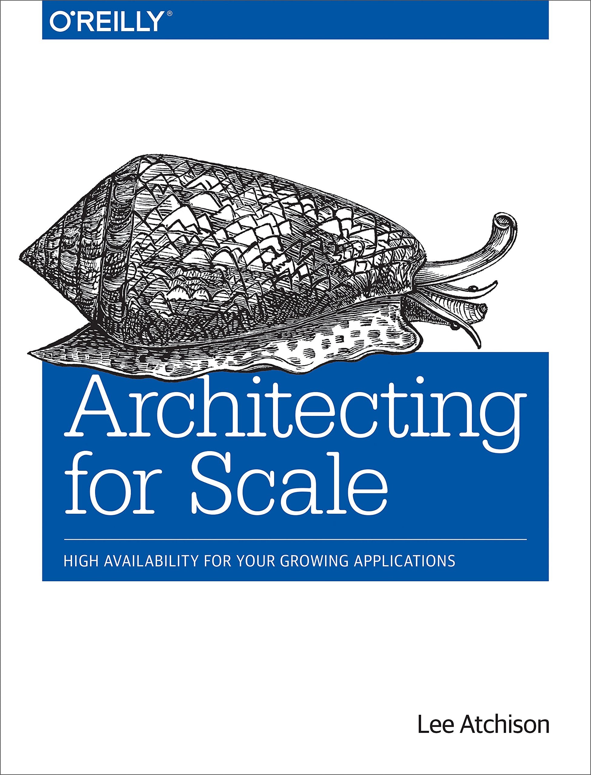 Architecting for Scale Computer Science