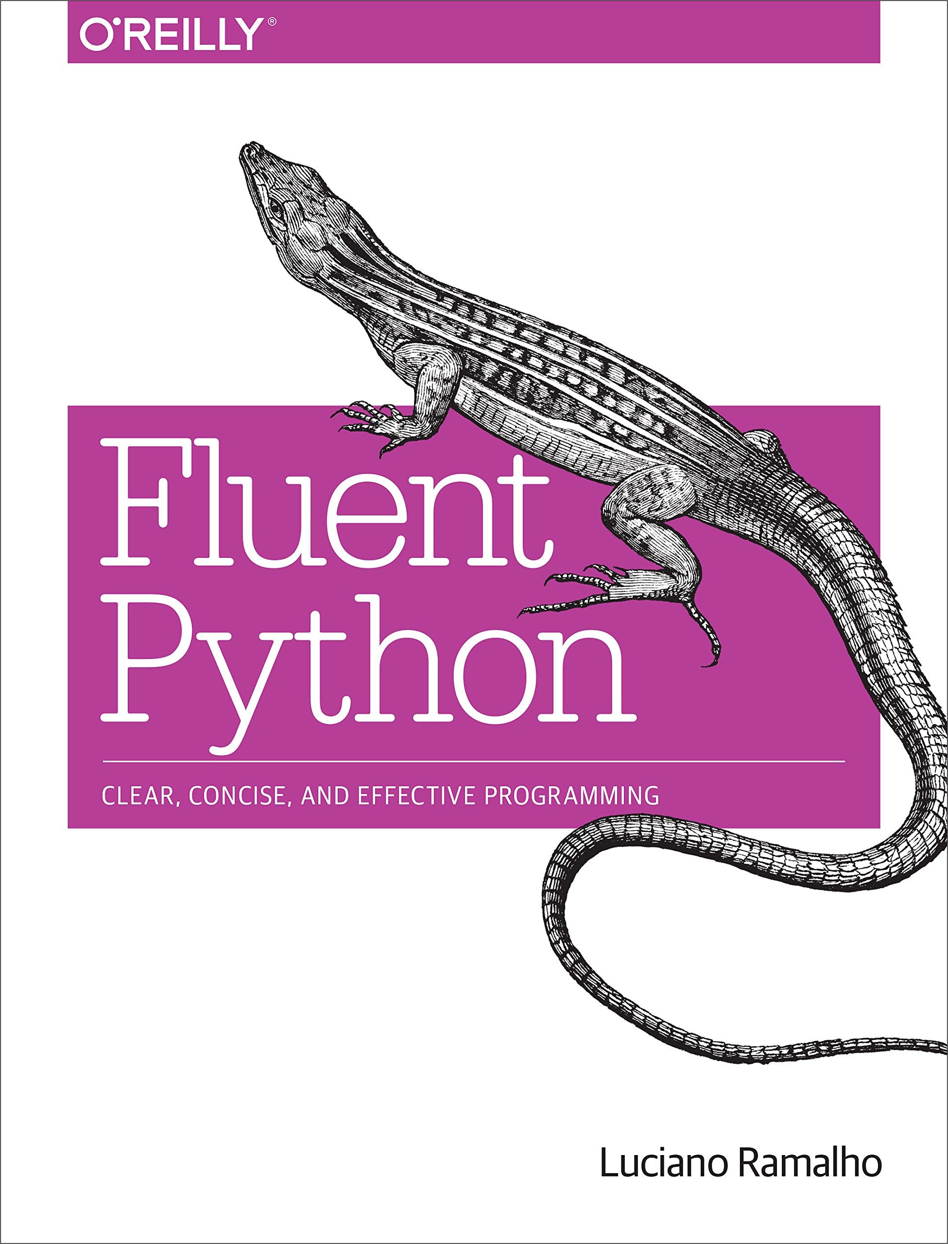 Fluent Python Computer Science Books