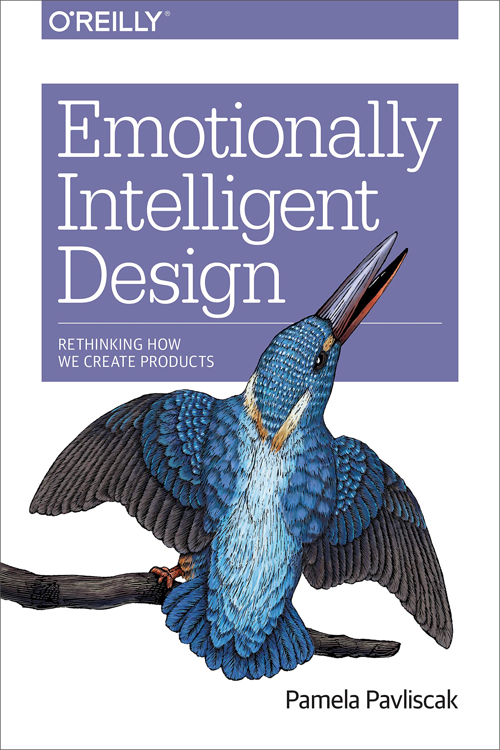 Emotionally Intelligent Design: Rethinking How We Create Products Computer Science