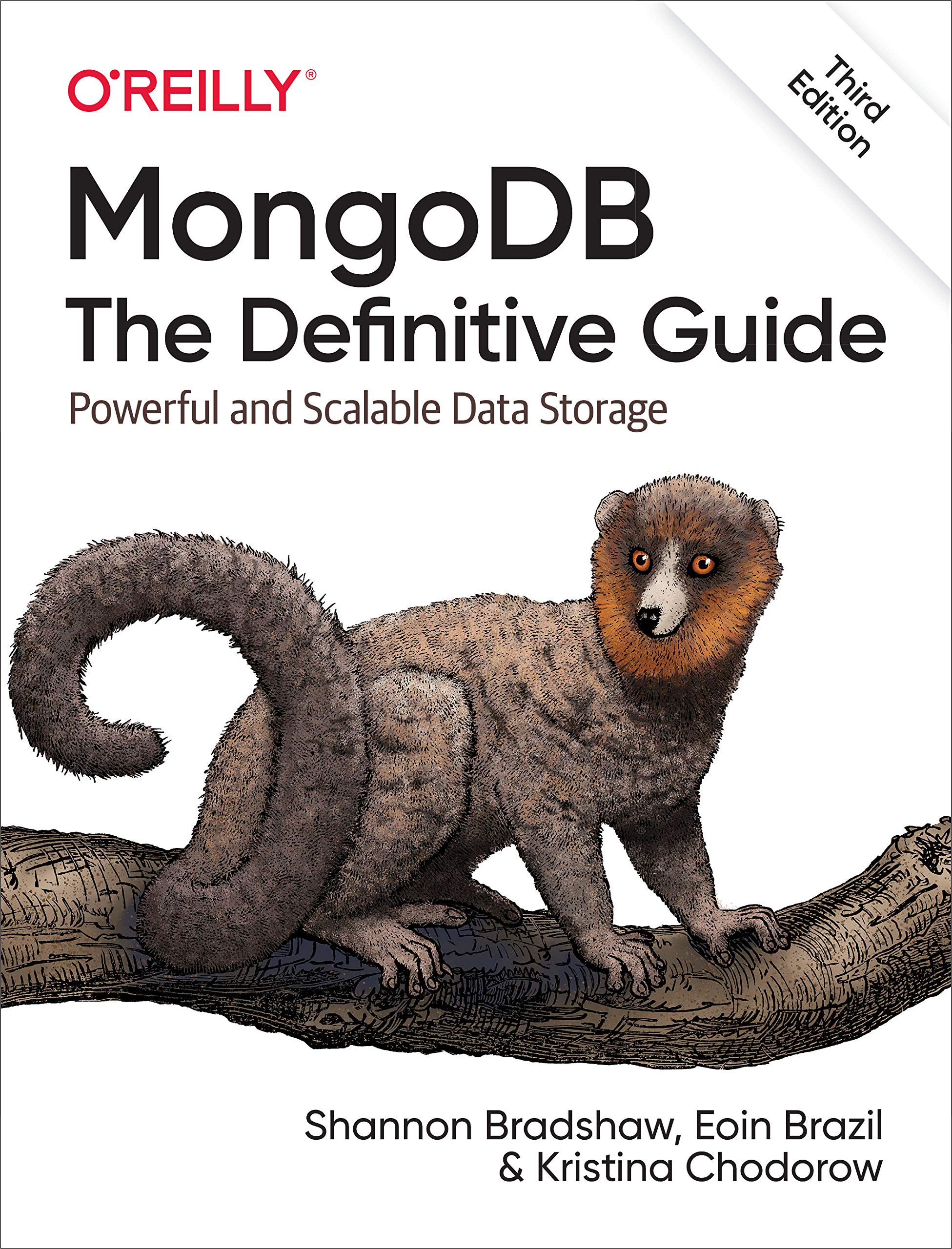 Product Image: Mongodb: The Definitive Guide