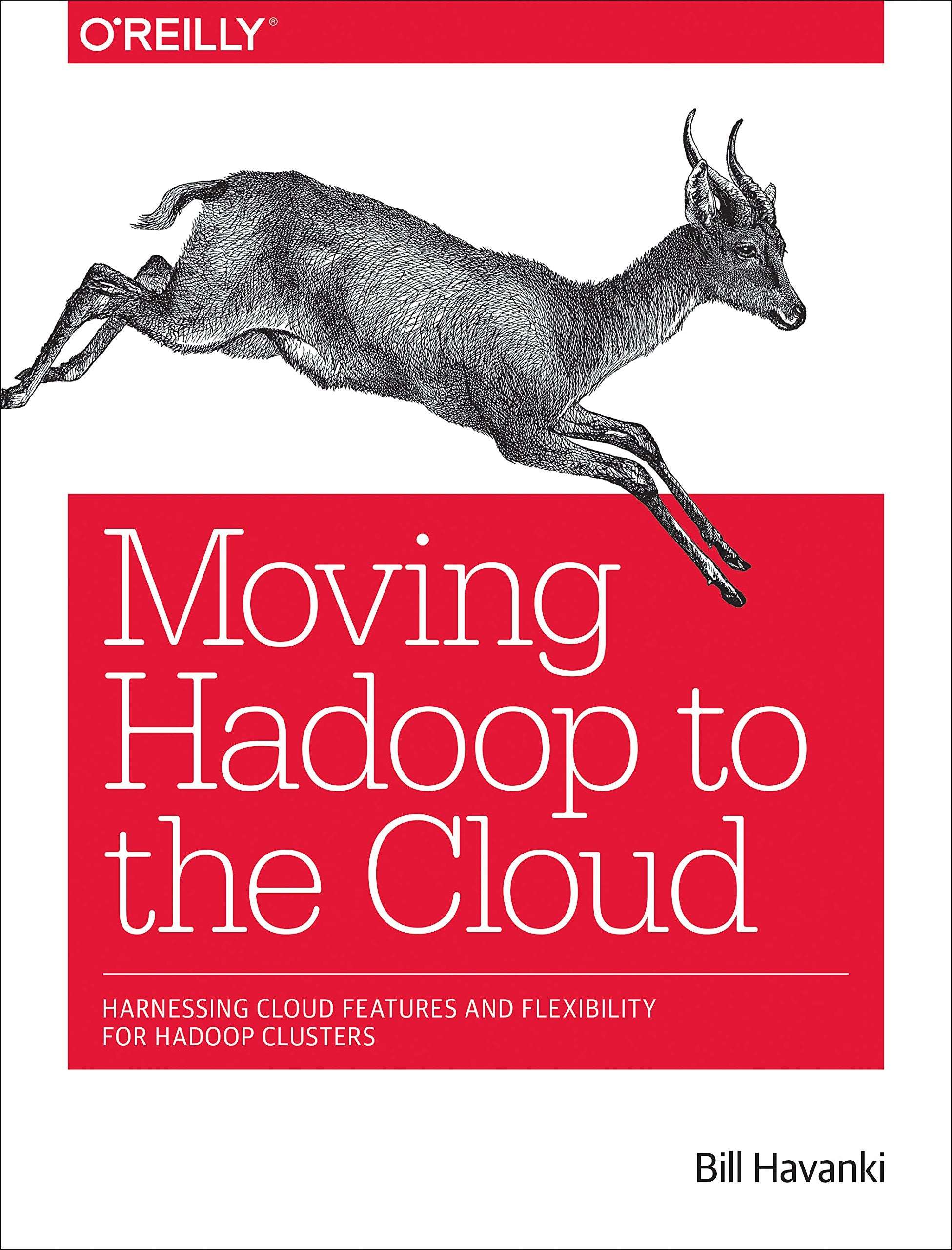 Moving Hadoop to the Cloud: Harnessing Cloud Features and Flexibility for Hadoop Clusters Computer Science