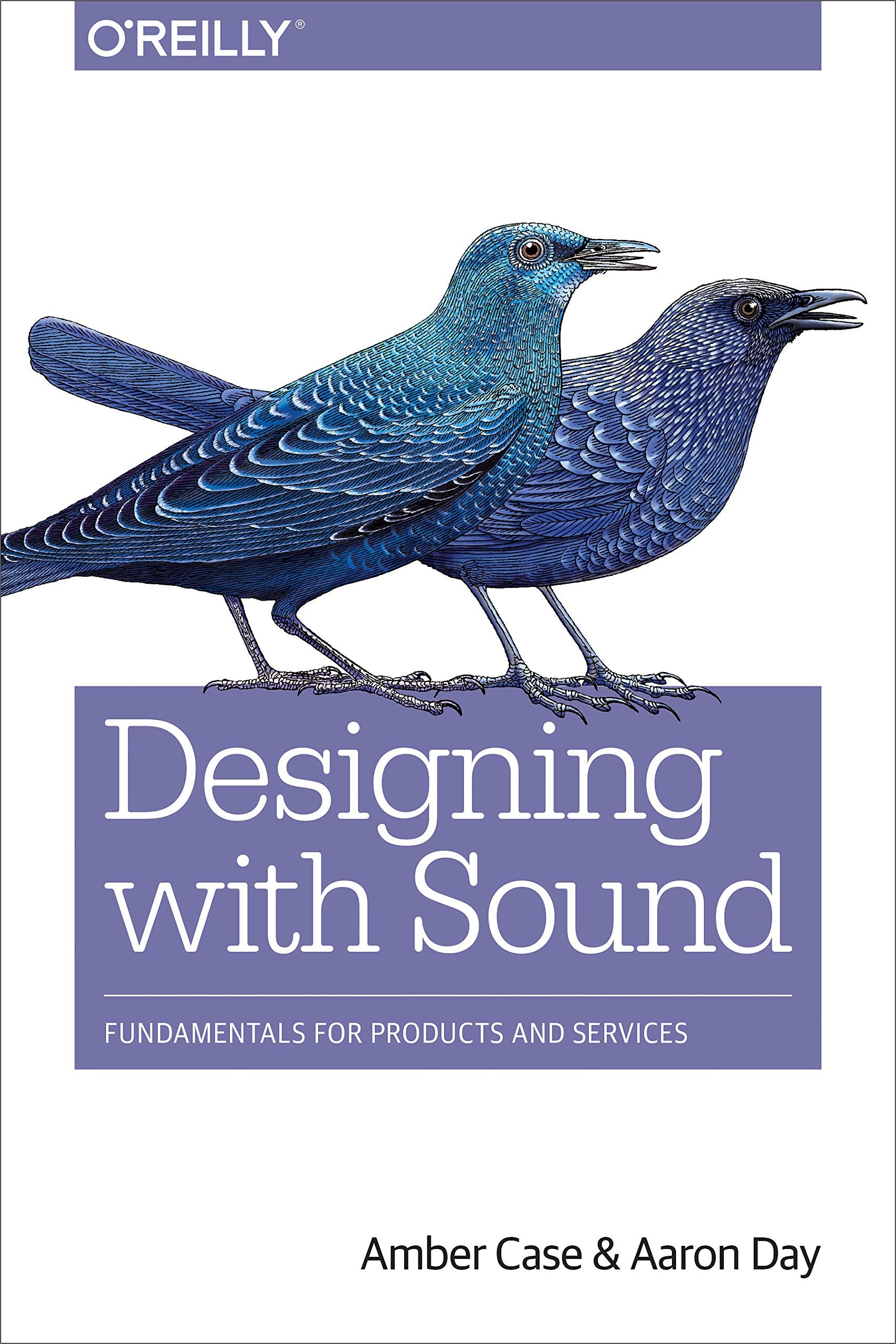 Designing with Sound: Fundamentals for Products and Services Computer Science
