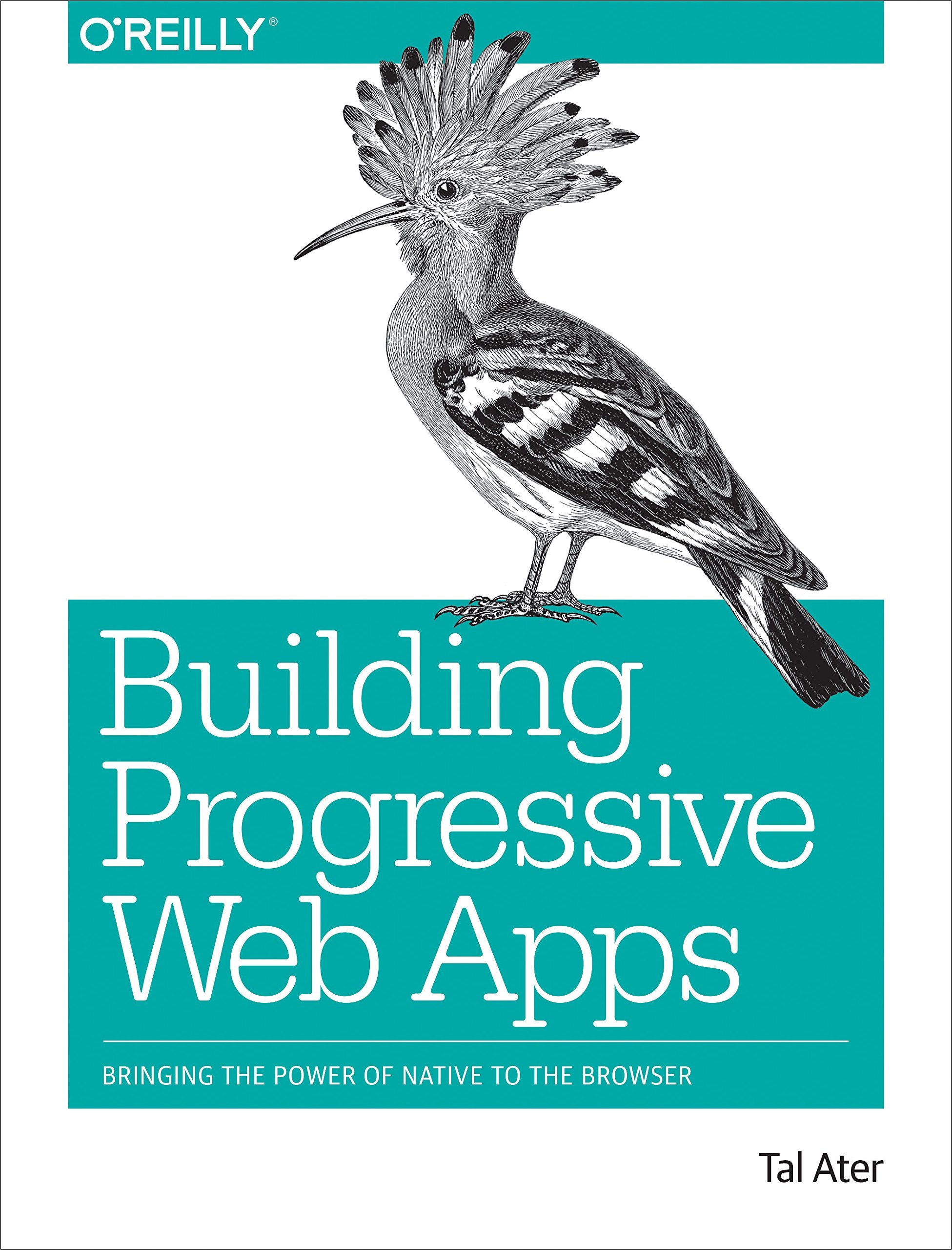 Building Progressive Web Apps: Bringing the Power of Native to the Browser Computer Science