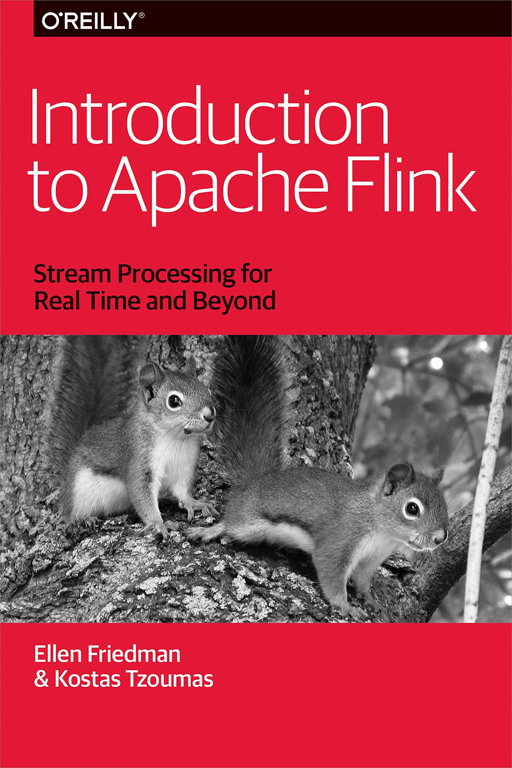 Introduction to Apache Flink Computer Science
