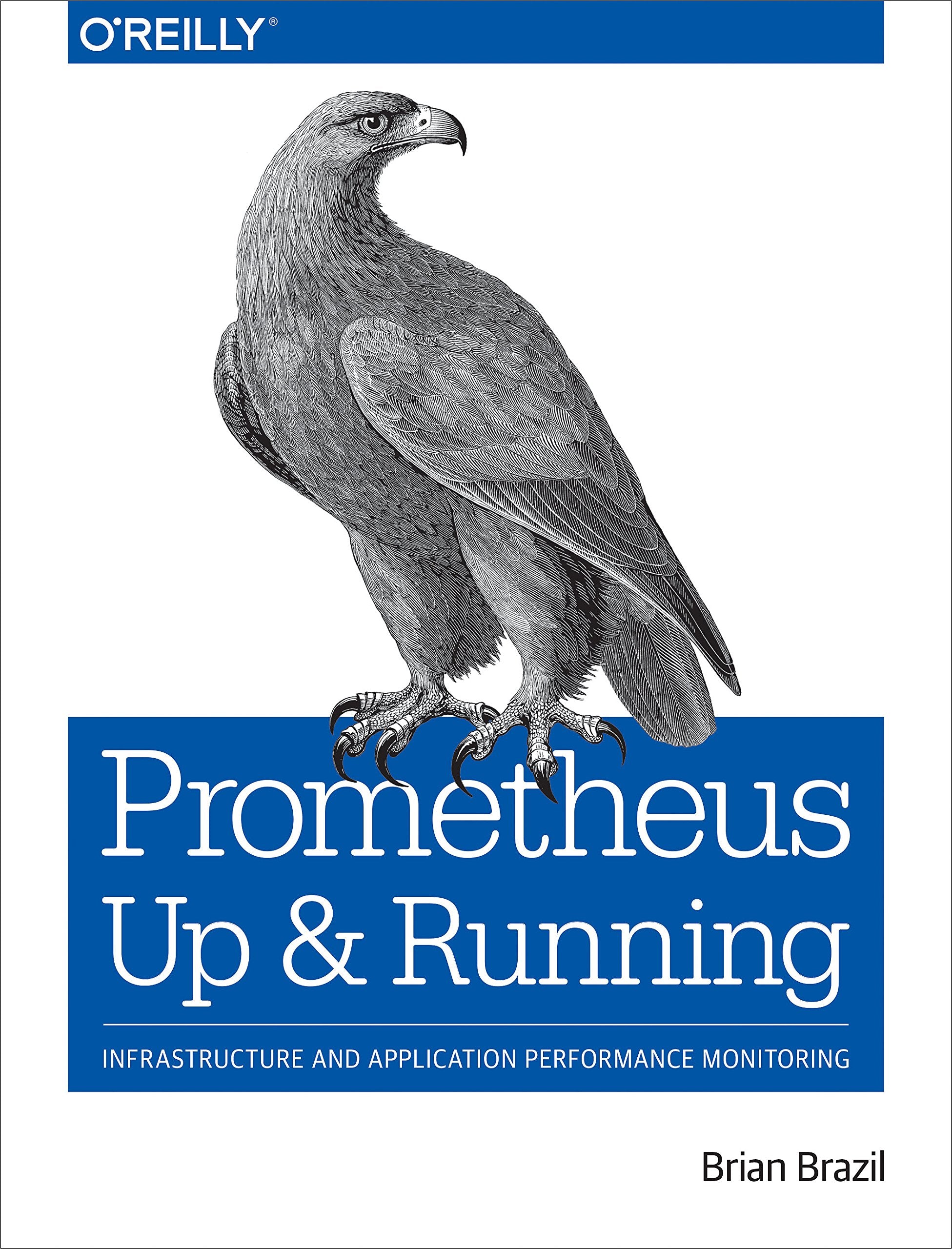 Prometheus: Up & Running: Infrastructure and Application Performance Monitoring Computer Science