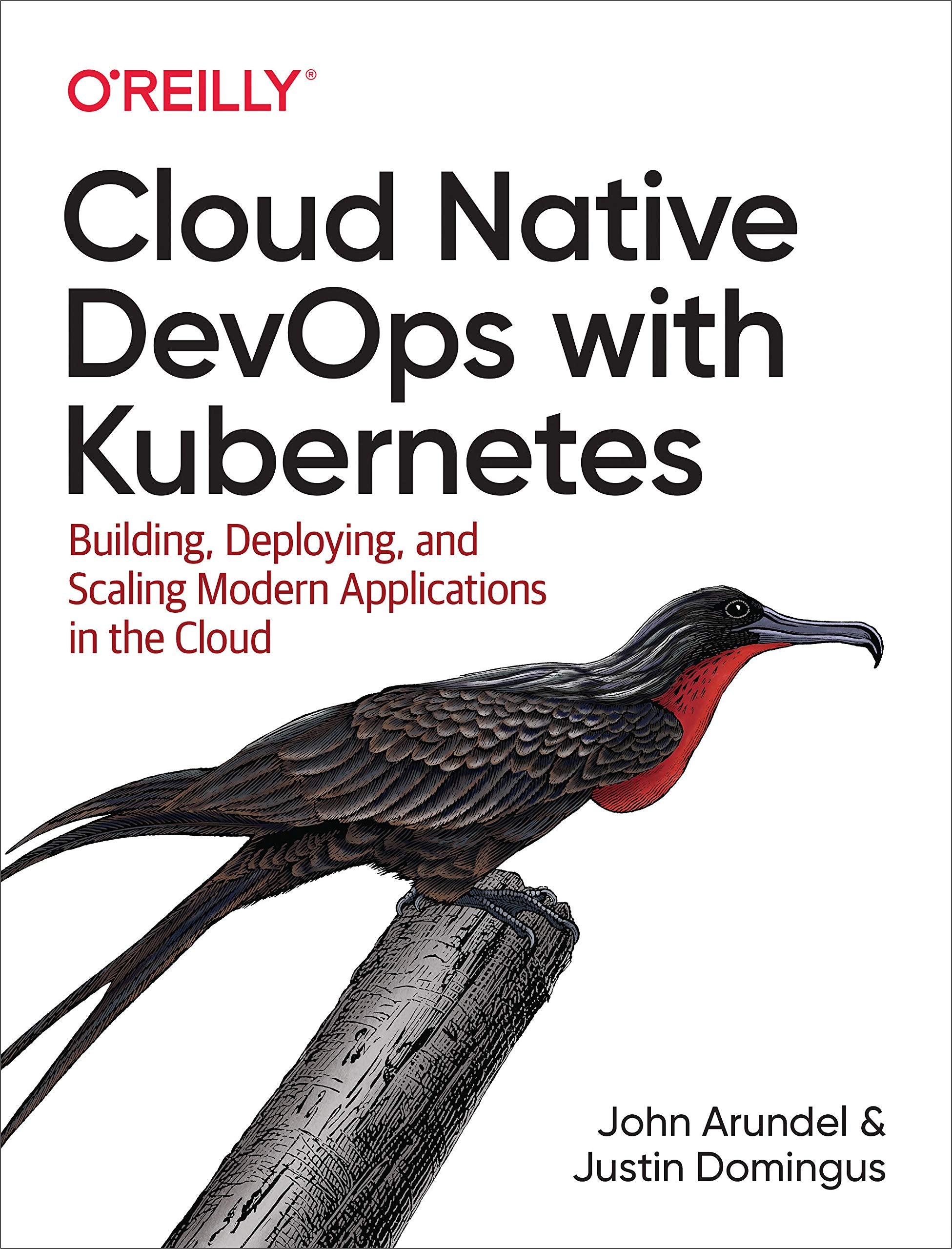 Cloud Native DevOps with Kubernetes Computer Science Books