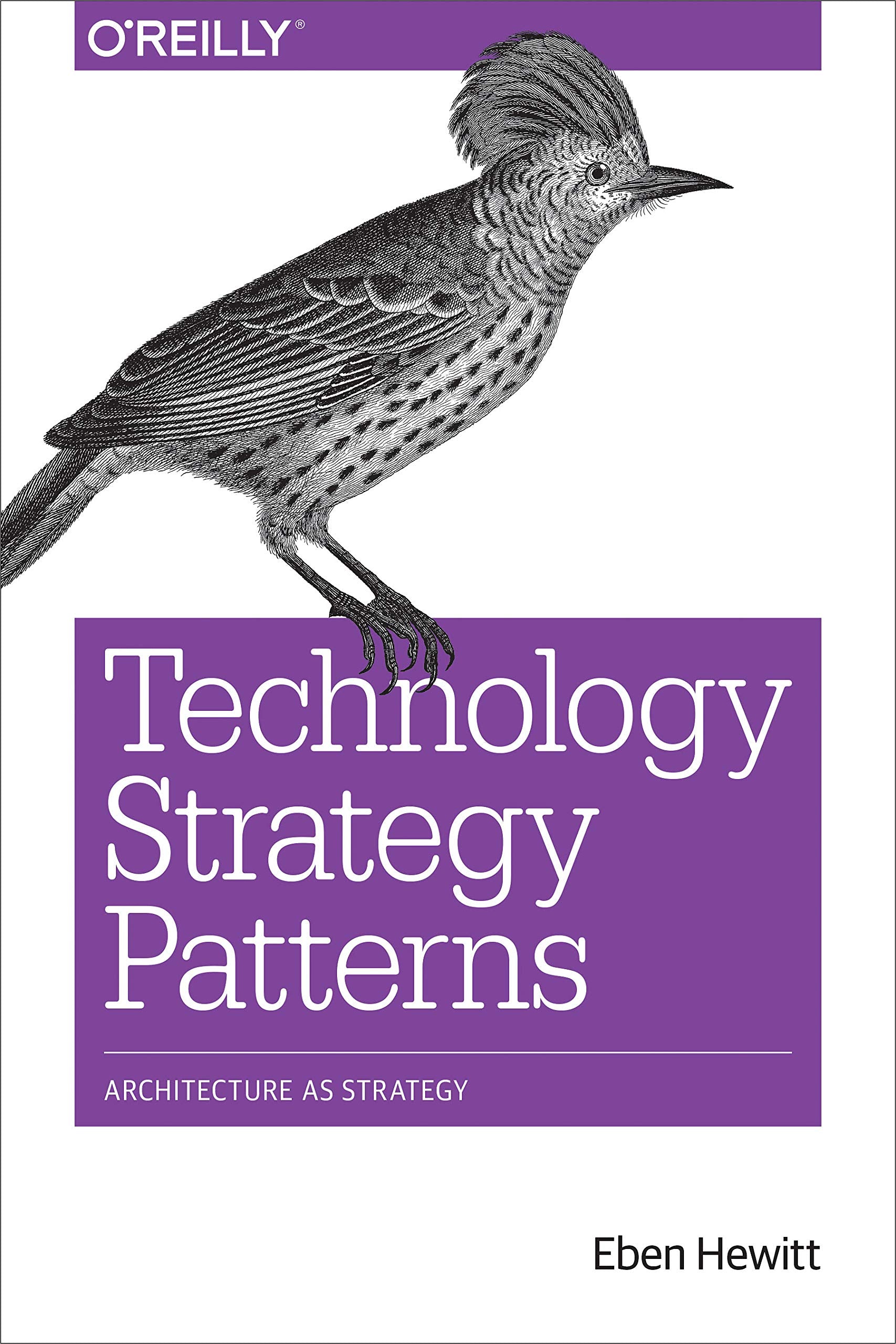 Technology Strategy Patterns: Architecture as Strategy Business, Finance & Career