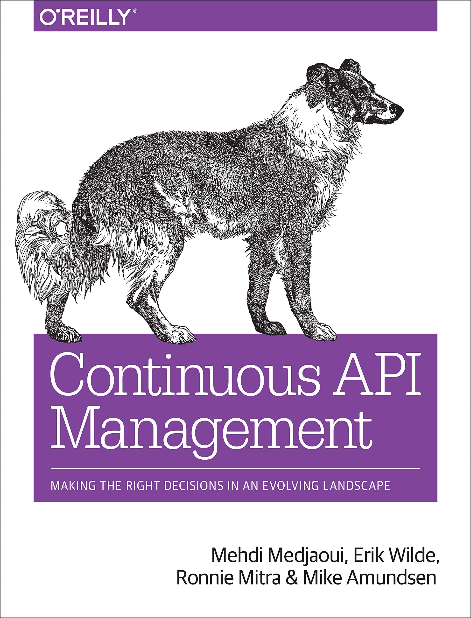 Continuous API Management Computer Science