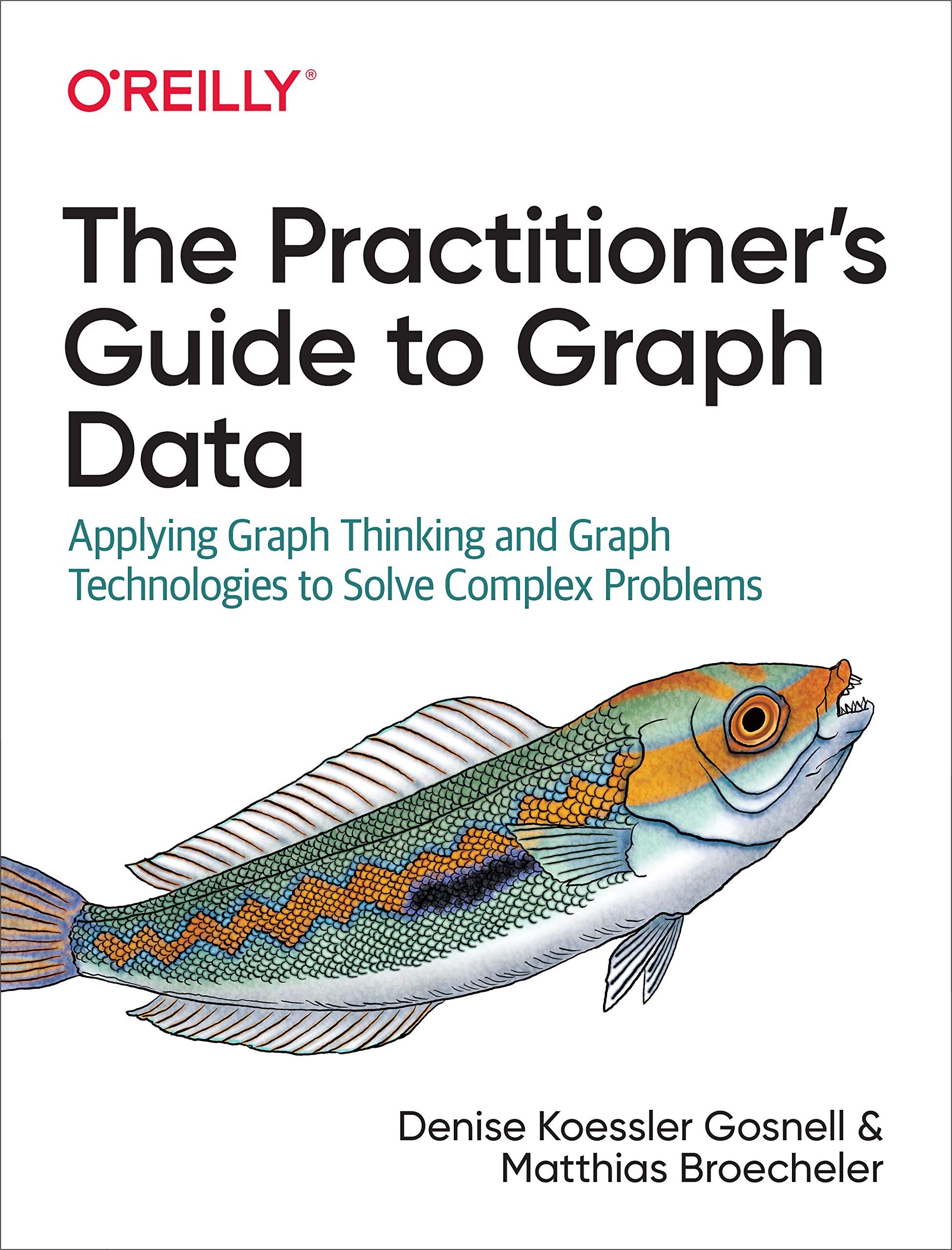 The Practitioner's Guide to Graph Data Computer Science Books
