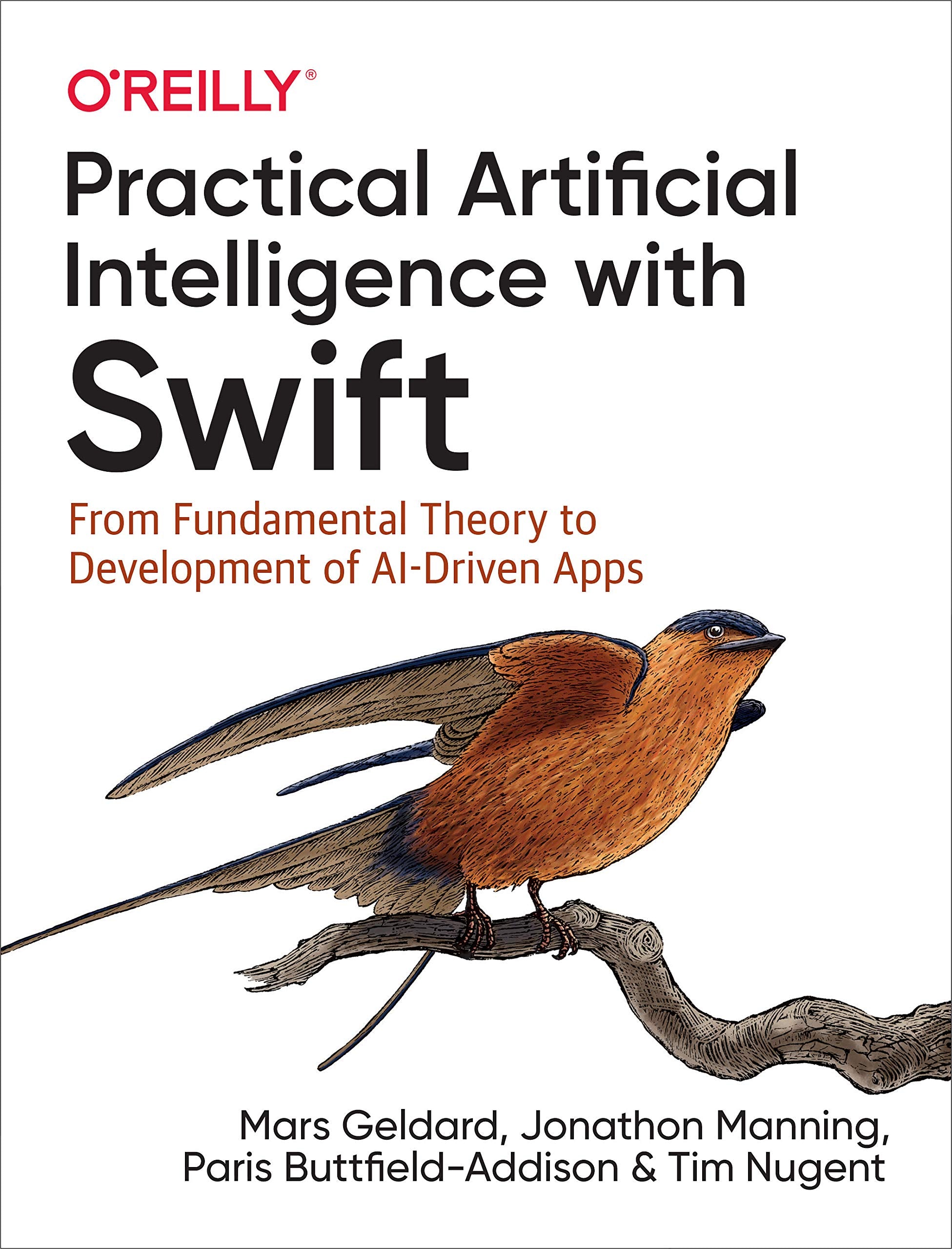 Practical Artificial Intelligence with Swift Computer Science Books