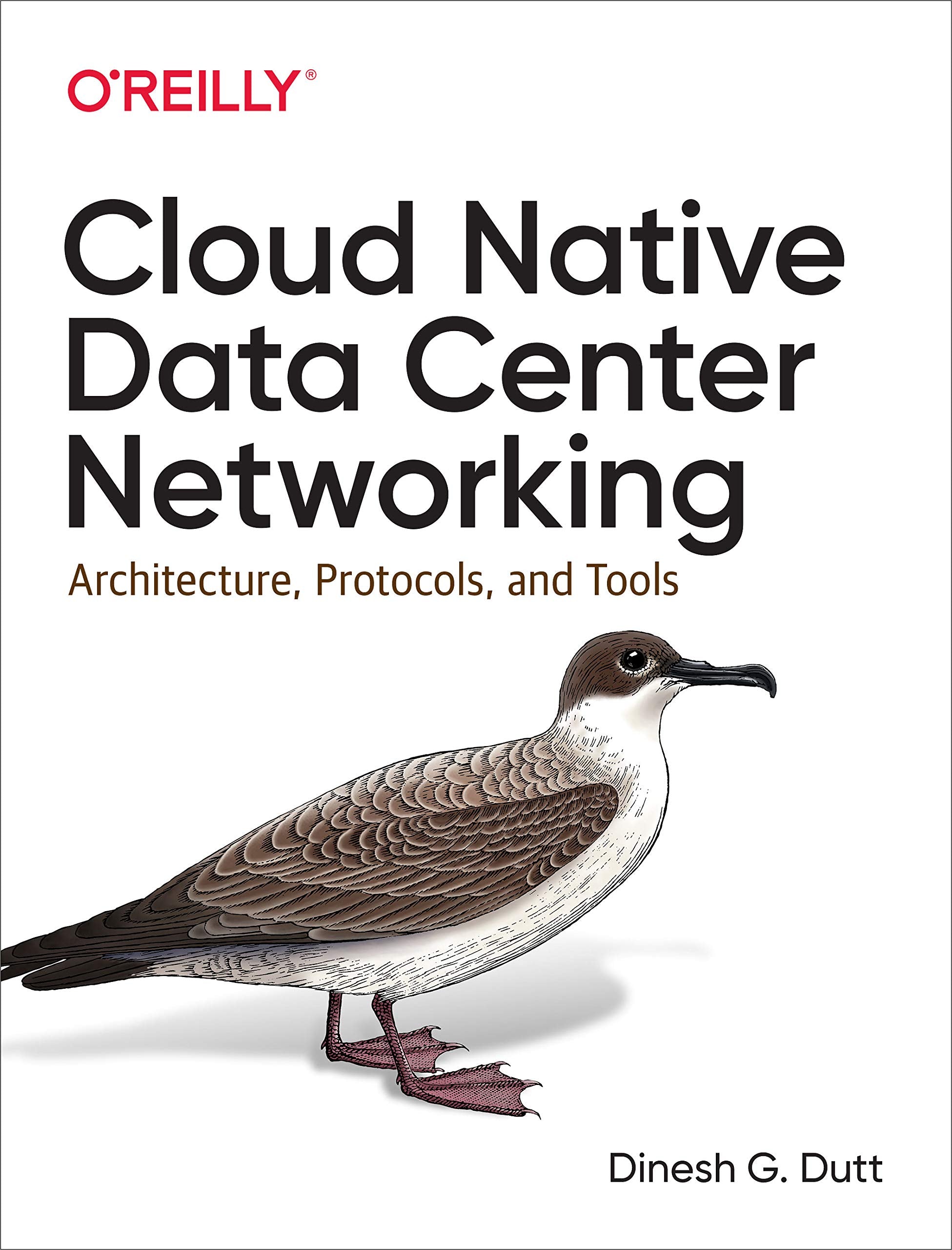 Cloud Native Data Center Networking: Architecture, Protocols, and Tools Computer Science
