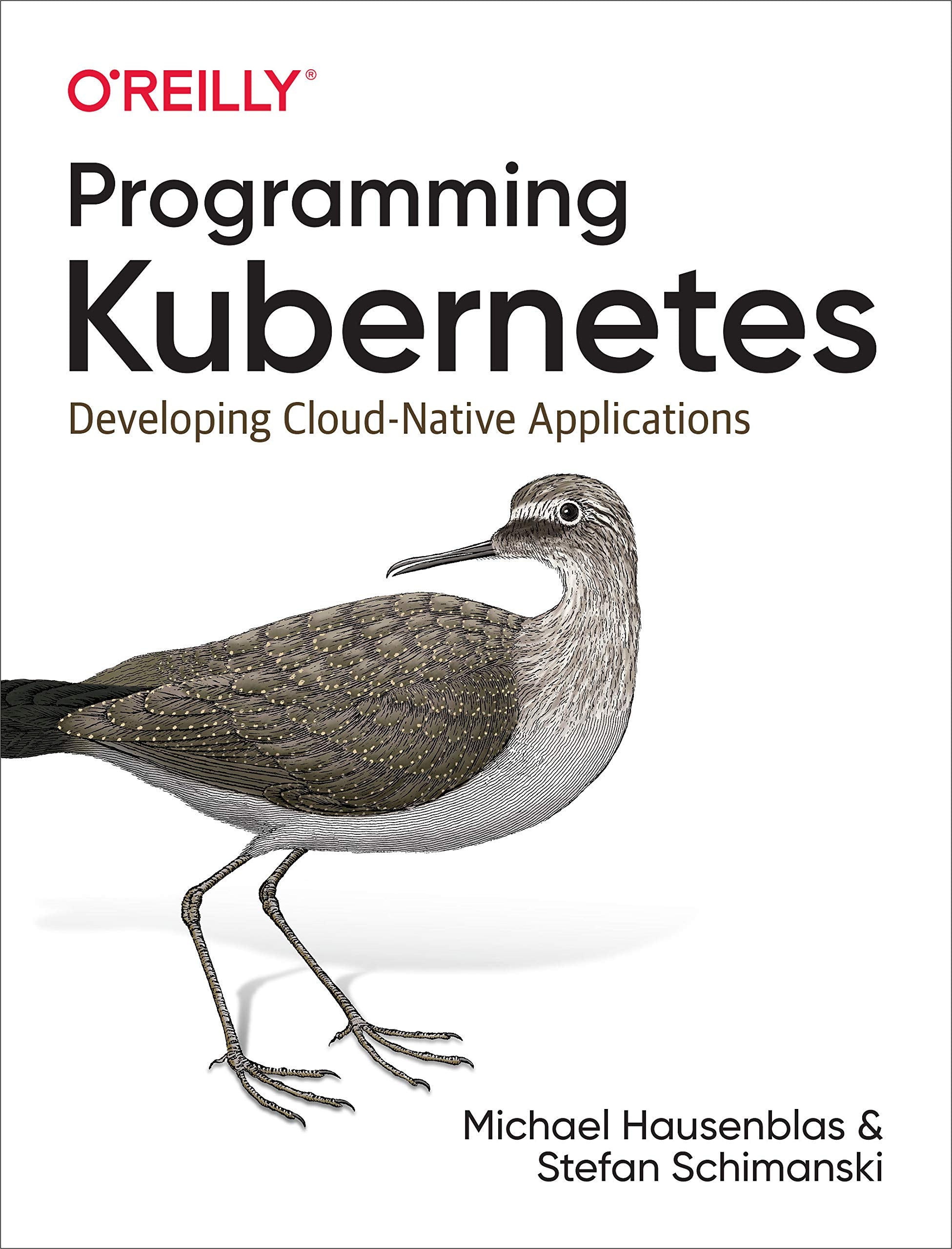 Programming Kubernetes: Developing Cloud-Native Applications Computer Science