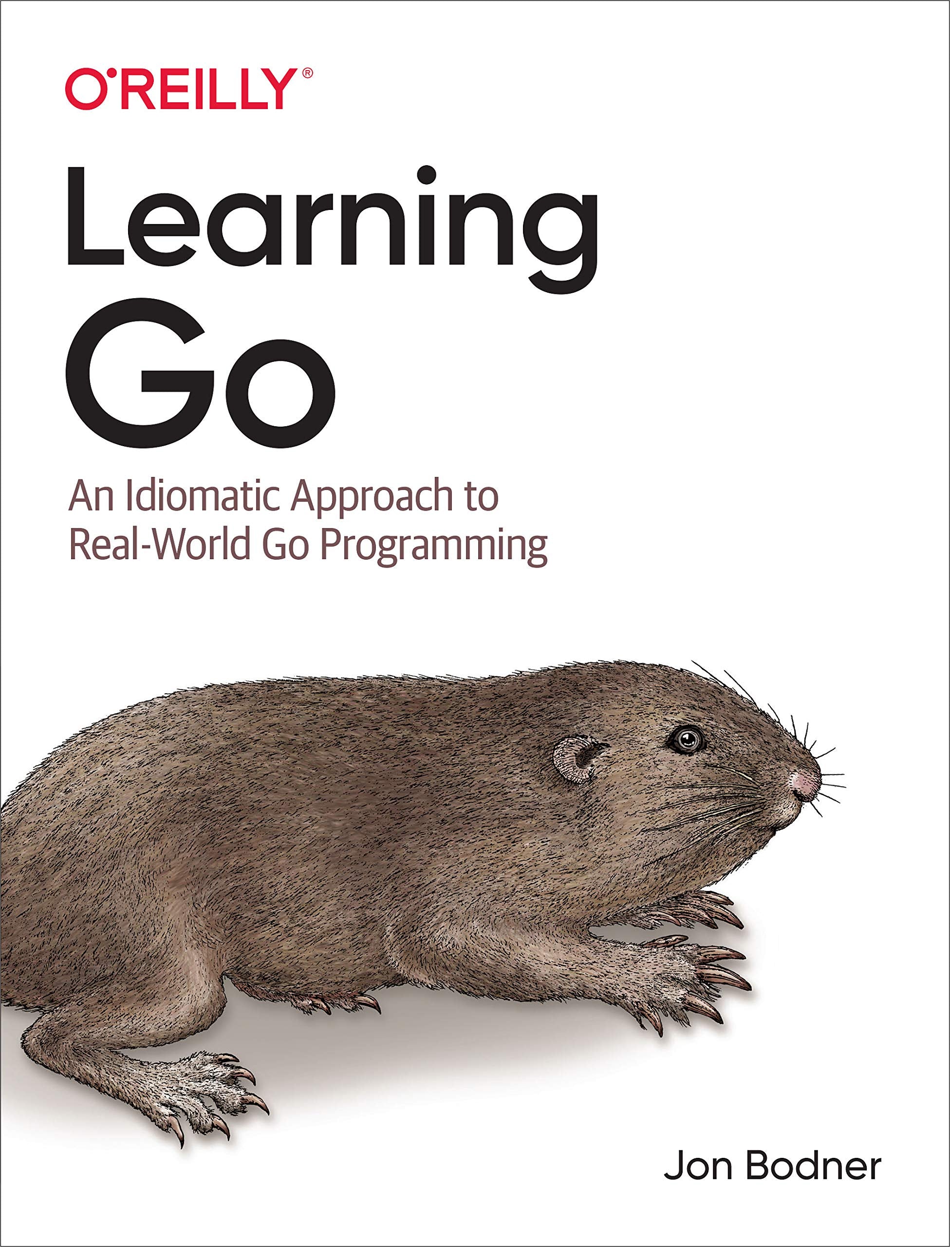 Learning Go: An Idiomatic Approach to Real-World Go Programming Computer Science
