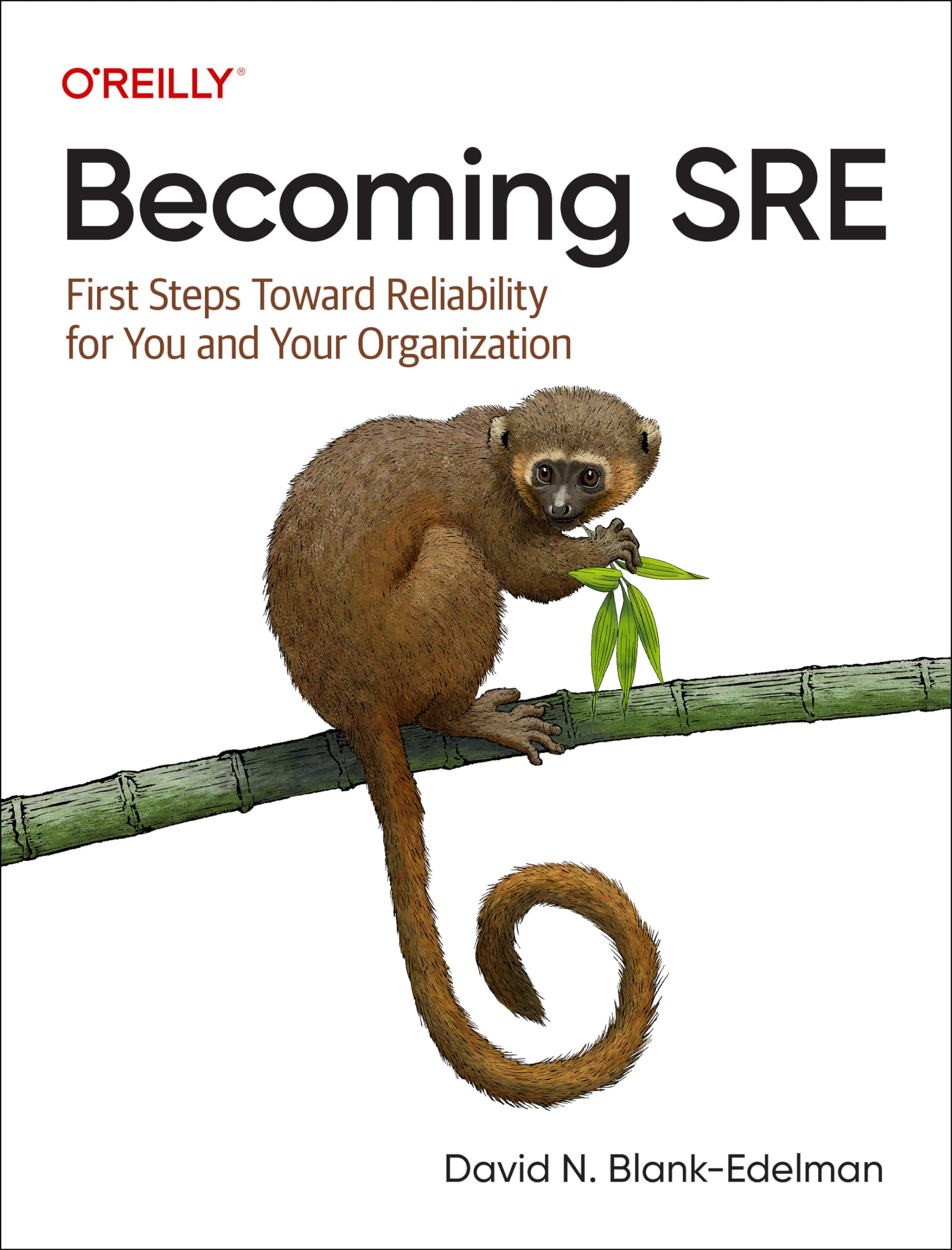 Becoming SRE: First Steps Toward Reliability for You and Your Organization Business, Finance & Career
