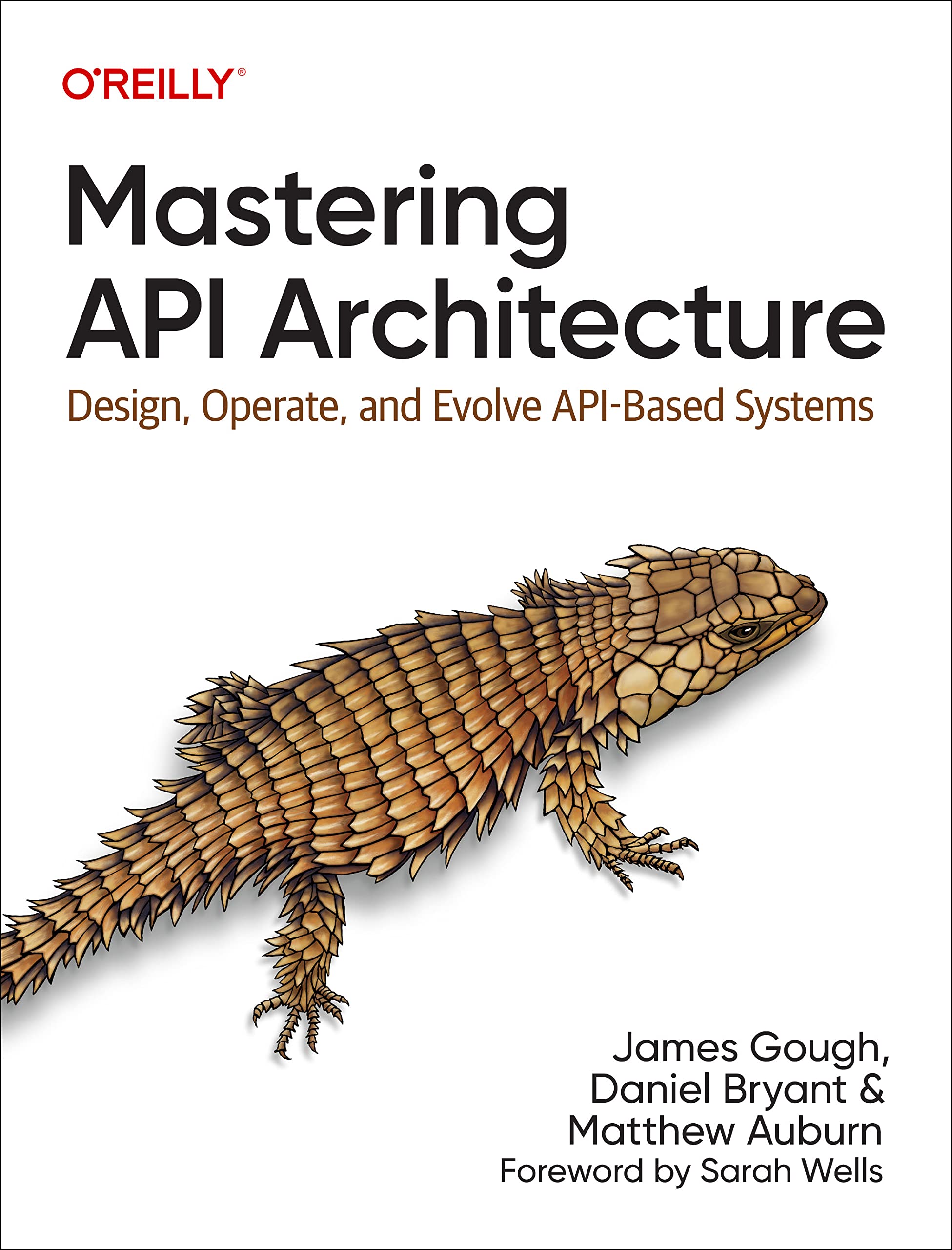 Mastering API Architecture: Design, Operate, and Evolve Api-Based Systems Business, Finance & Career