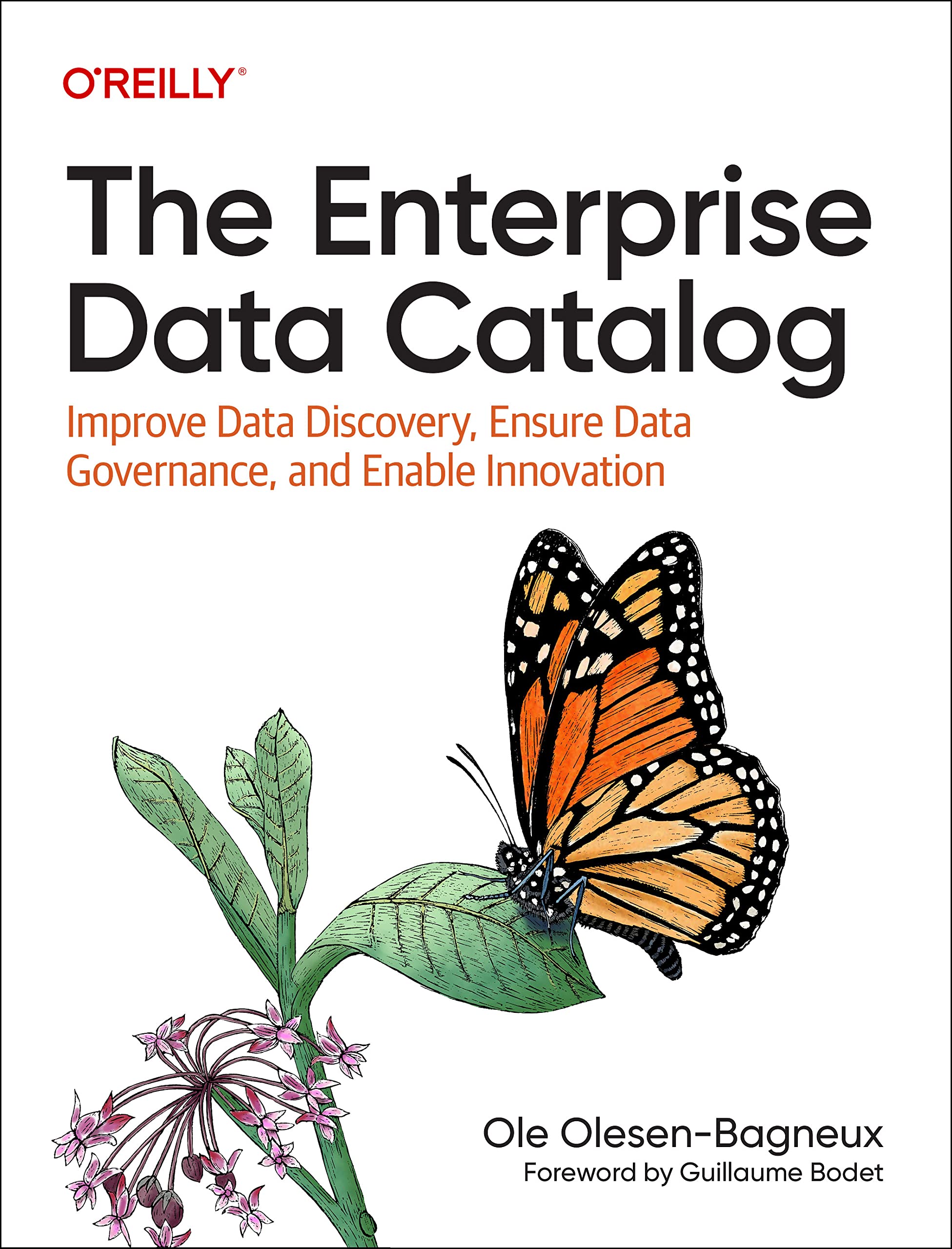 The Enterprise Data Catalog: Improve Data Discovery, Ensure Data Governance, and Enable Innovation Computer Science