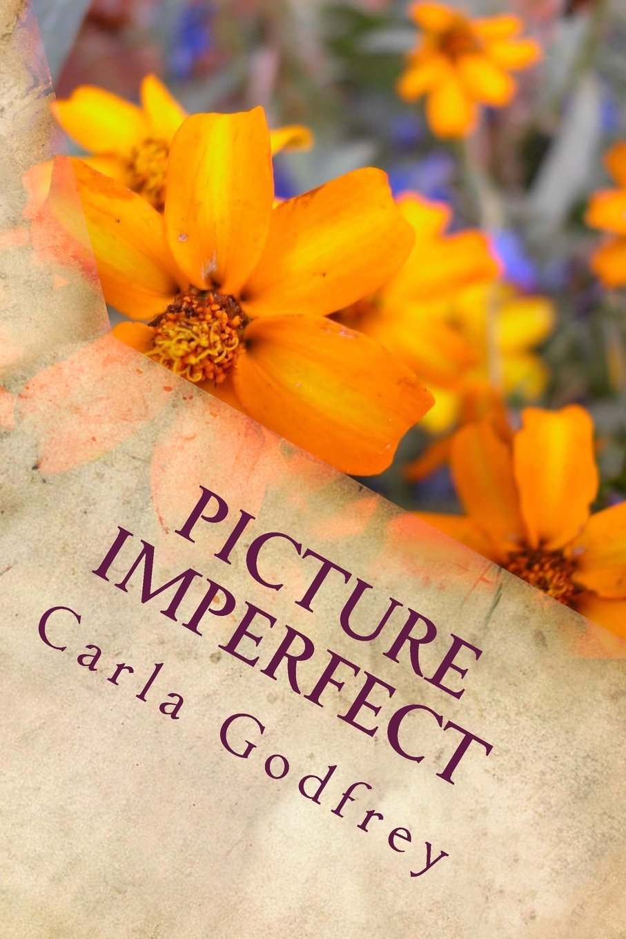 Product Image: Picture Imperfect