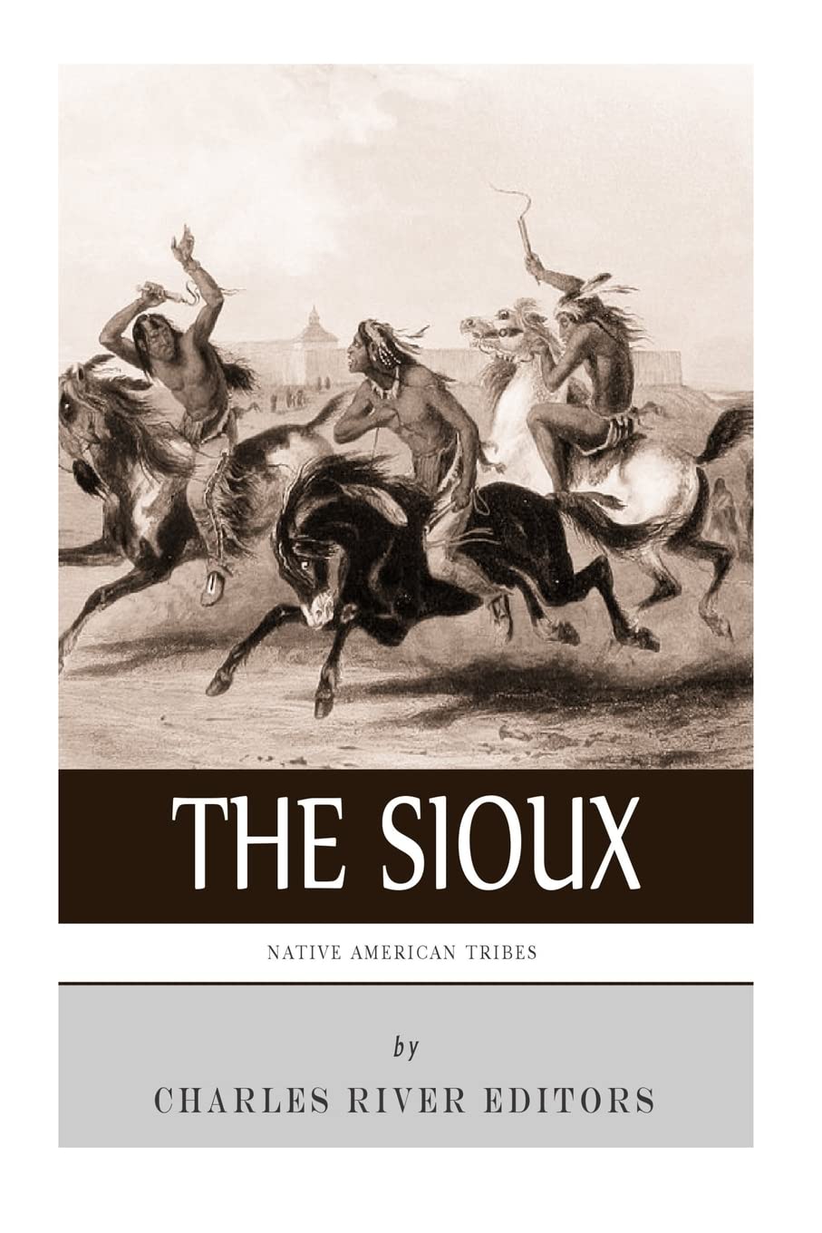 Native American Tribes: The History and Culture of the Sioux Politics & History