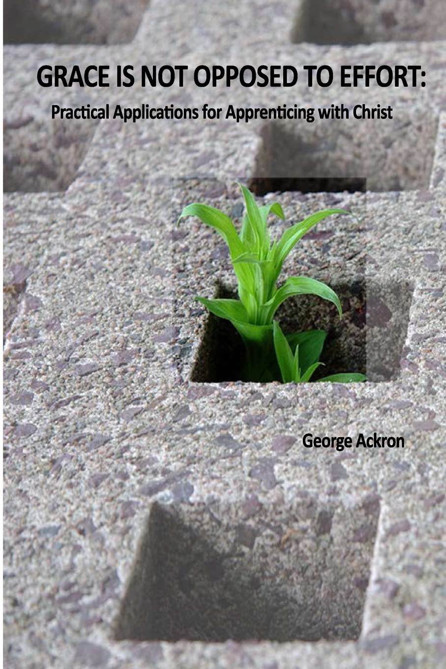 Grace Is Not Opposed To Effort: Practical Applications for Apprenticing with Christ Religion & Esotericism