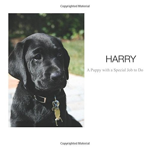 Harry - A Puppy with a Special Job to Do: A photo guide to raising a guide dog puppy Contemporary literature