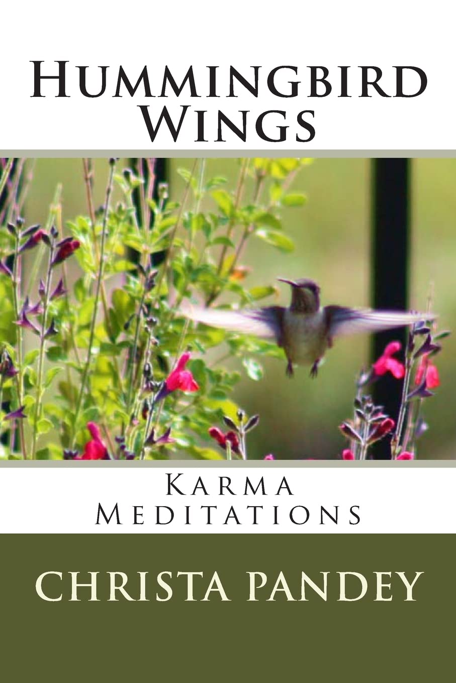 Hummingbird Wings: Karma Meditations Religion & Esotericism