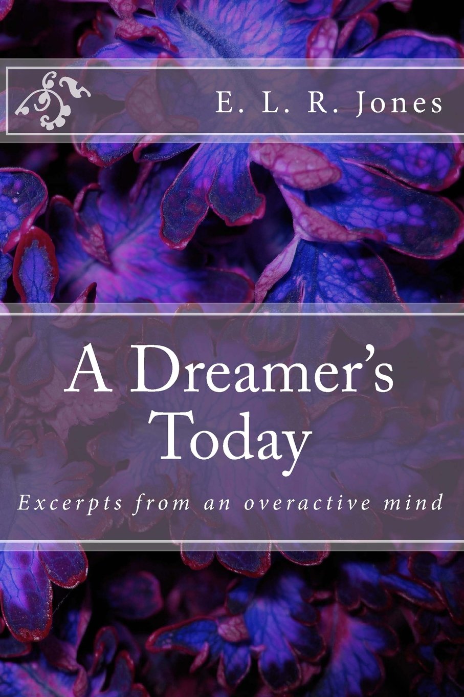 Product Image: A Dreamer's Today: Excerpts from an overactive mind