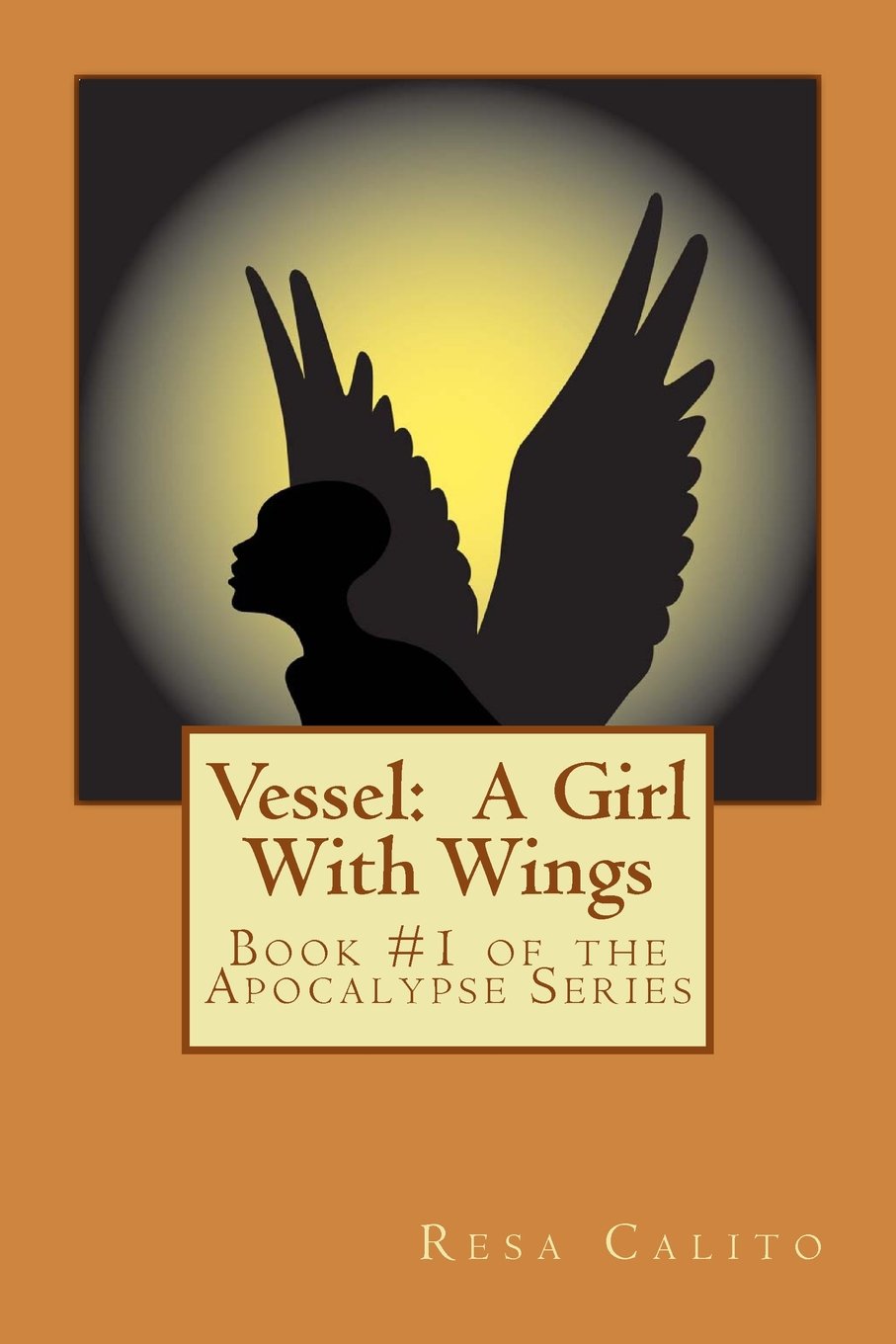 Vessel: A Girl With Wings (The Apocalypse Series, Band 1) Religion & Esotericism