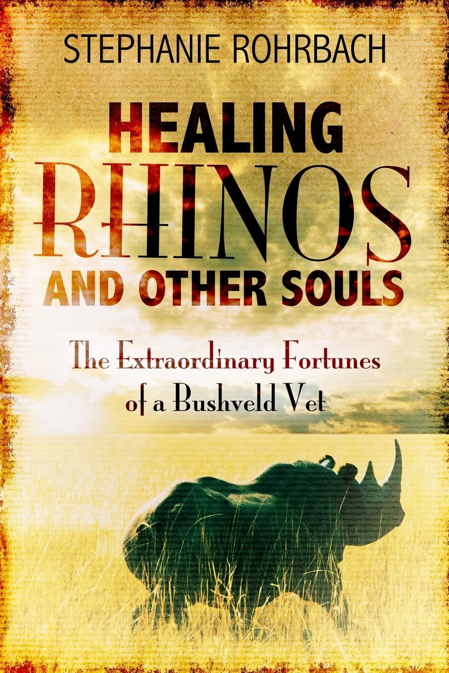 Healing Rhinos and Other Souls: The Extraordinary Fortunes of a Bushveld Vet book
