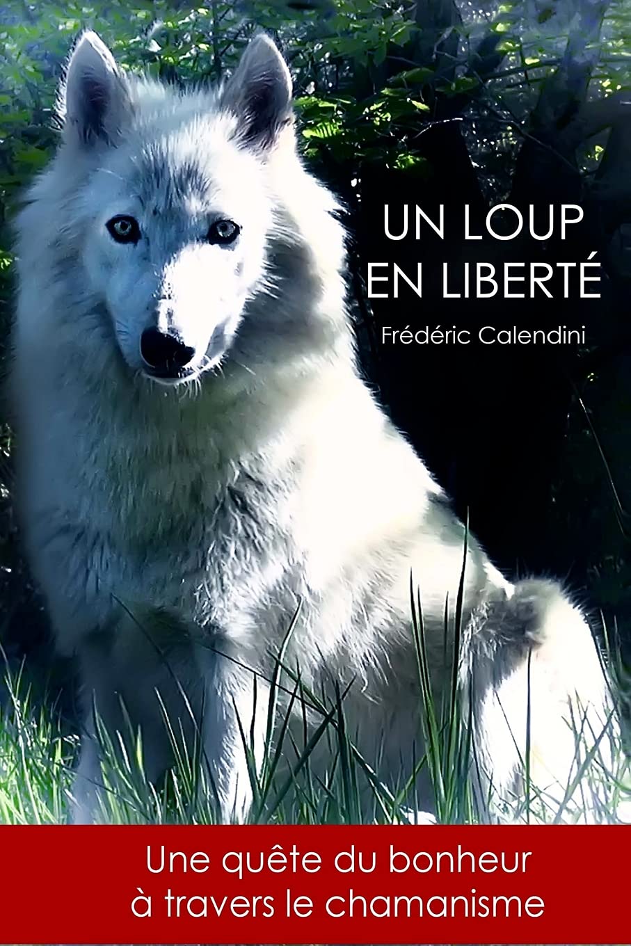 Un Loup En Liberté - Une quête du bonheur à travers le chamanisme book