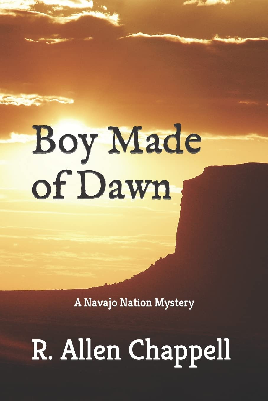 Boy Made of Dawn: Navajo Nation Mystery (A Navajo Nation Mystery, Band 2) Books