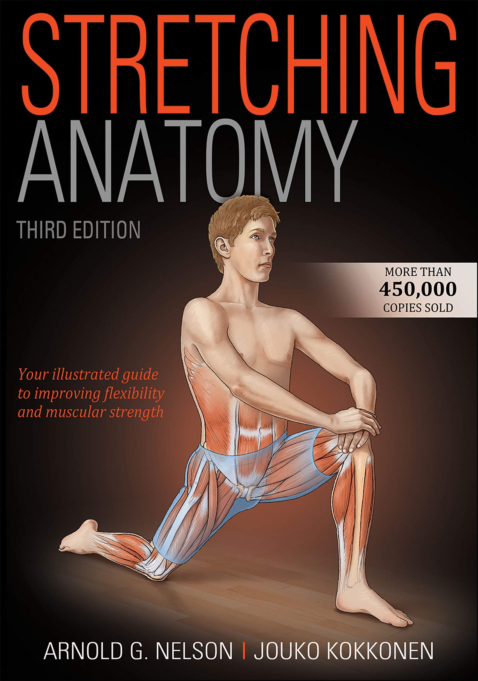 Stretching Anatomy Medicine