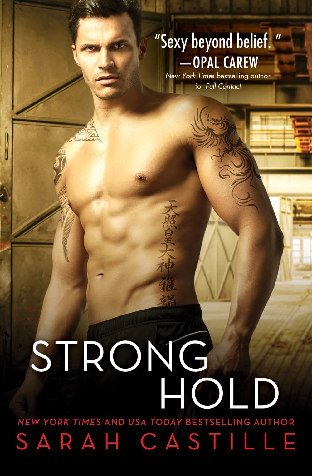 Strong Hold Contemporary literature Books