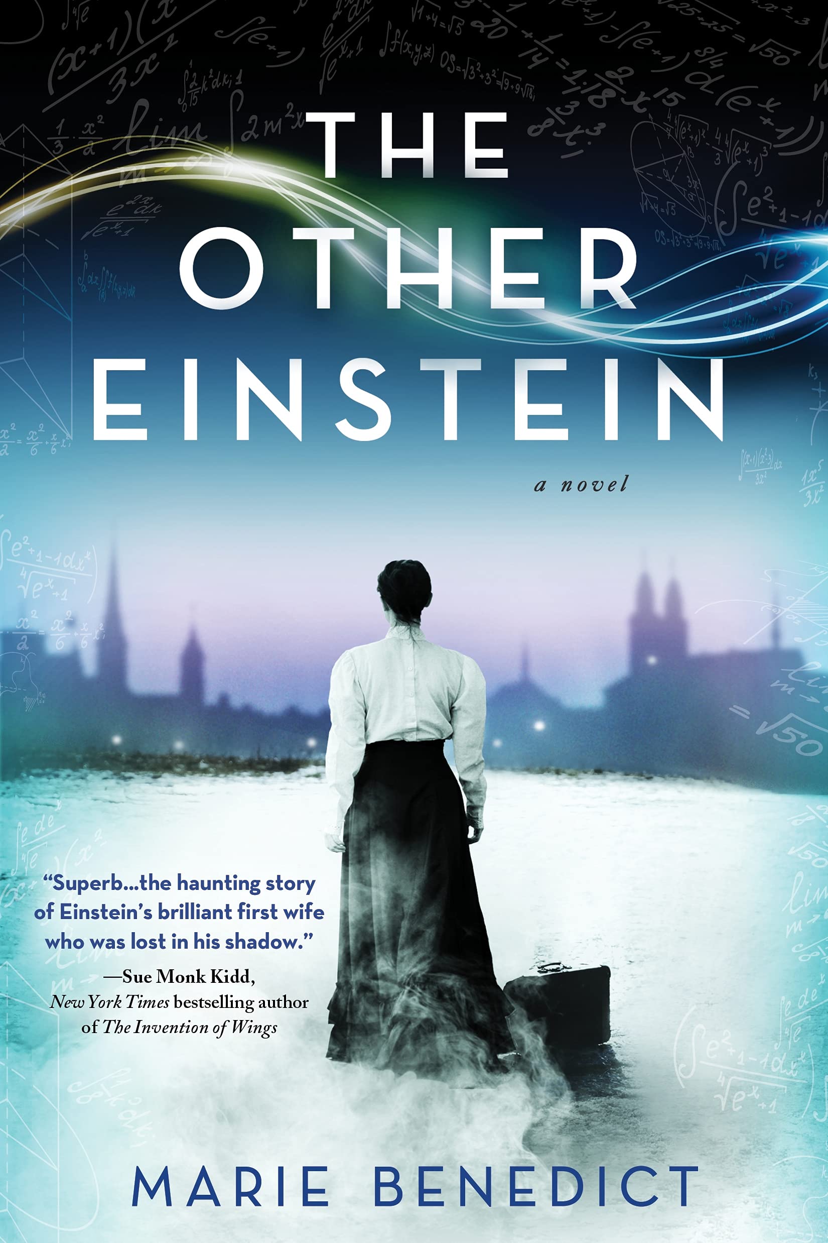 The Other Einstein Contemporary literature Books