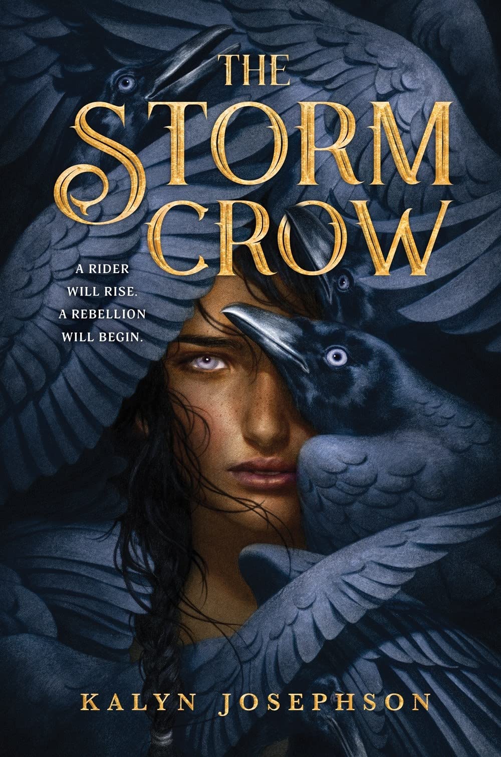 The Storm Crow (Storm Crow, 3) Fiction