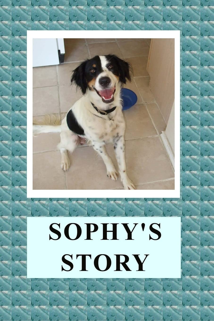 Sophy's Story (Sophy Books, Band 1) Novels & Short Stories