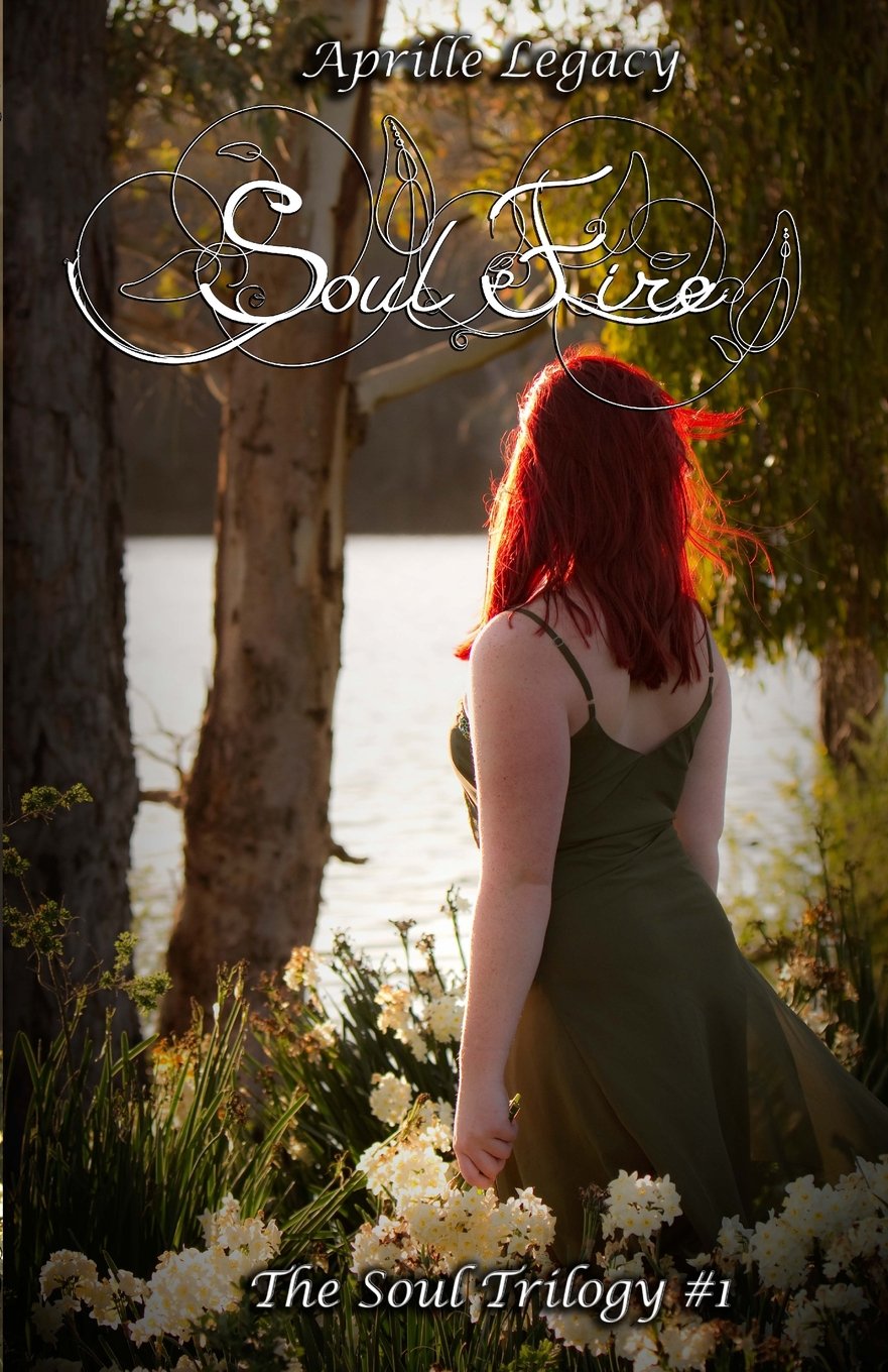 Soul Fire: The Soul Trilogy #1 Books