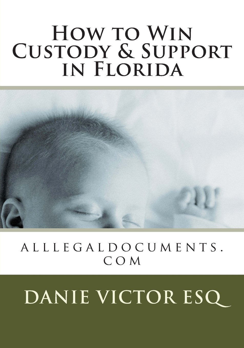 How to Win Custody & Support in Florida: alllegaldocuments.com, aggressivefemalelawyer.com hottestsinglechristians.com (500 legal forms book series for alllegaldocuments.com, Band 19) Law
