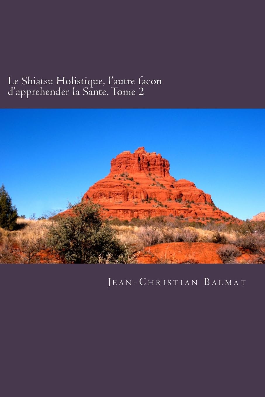 Le Shiatsu Holistique, l'autre facon d'apprehender la Sante. Tome 2: Un voyage qui emmenera le lecteur a la decouverte de l Homme-Spirituel forme de ... le veut d acceder a son pouvoir de guerison. book