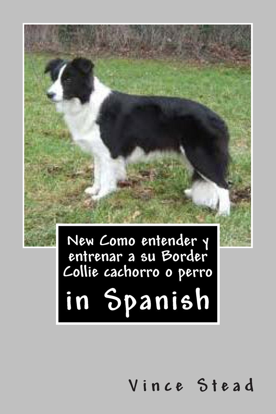 New Como entender y entrenar a su Border Collie cachorro o perro Pets