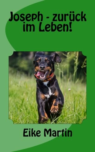 Product Image: Joseph - zurück im Leben!