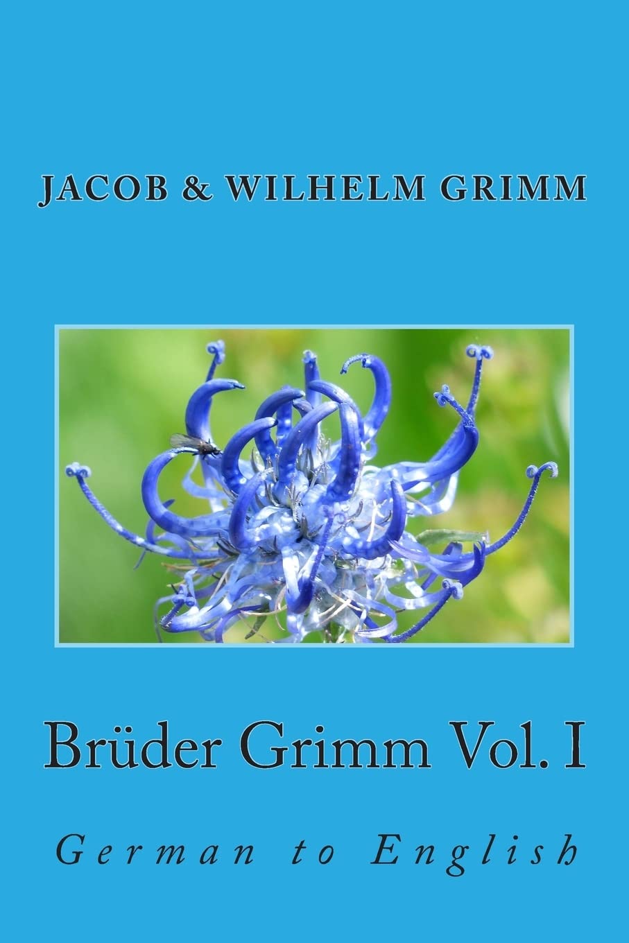 Brüder Grimm Vol. I: German to English Study Guides