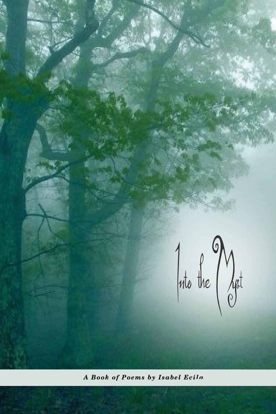 Into the Myst: A Book of Poems Poetry